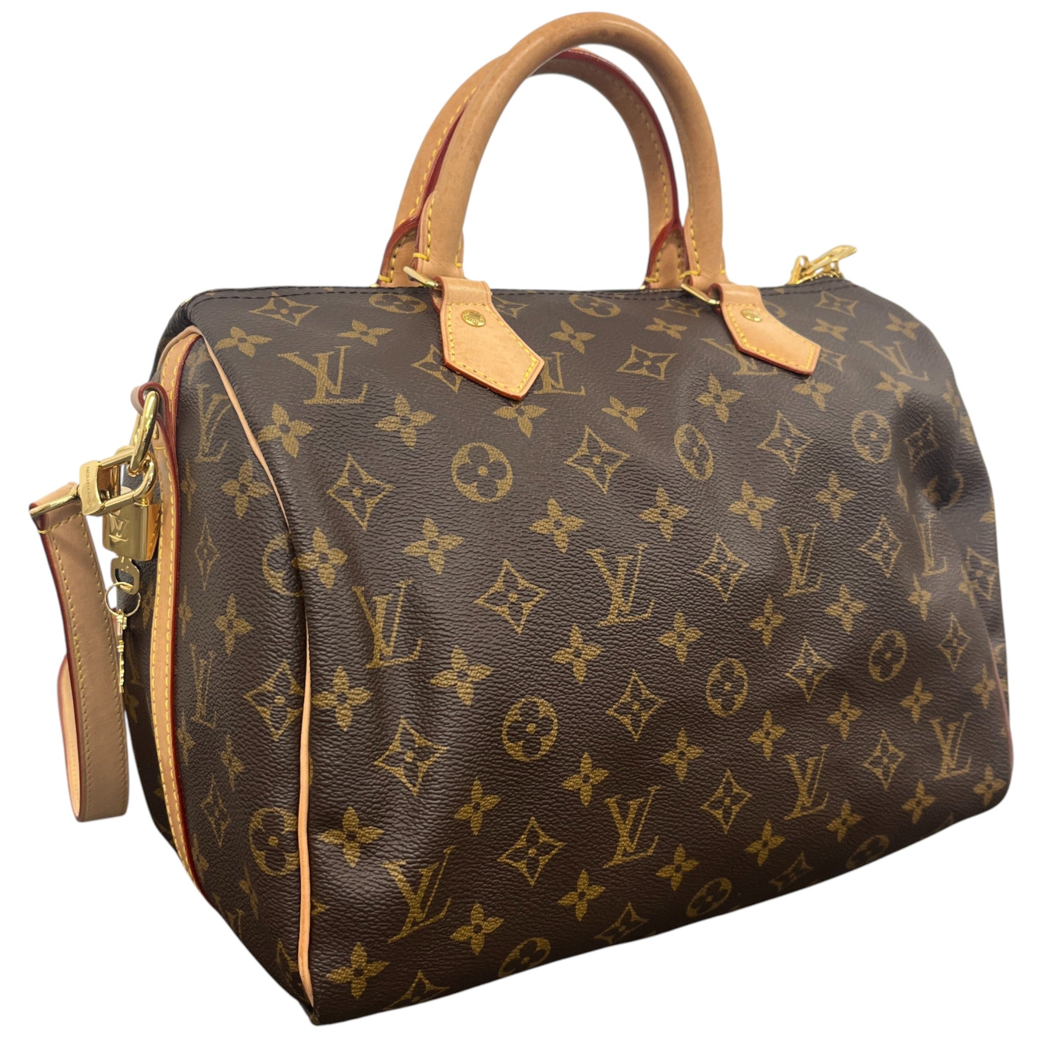 Women's Speedy 30 Bag Brown