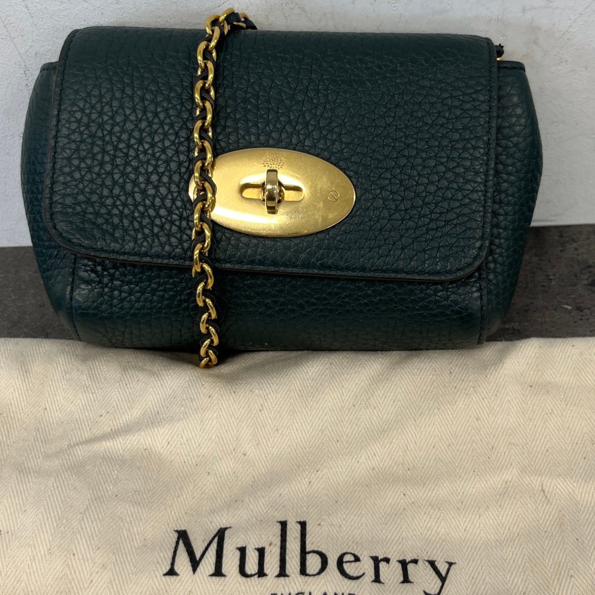 Women's Mini Lily Bag Green