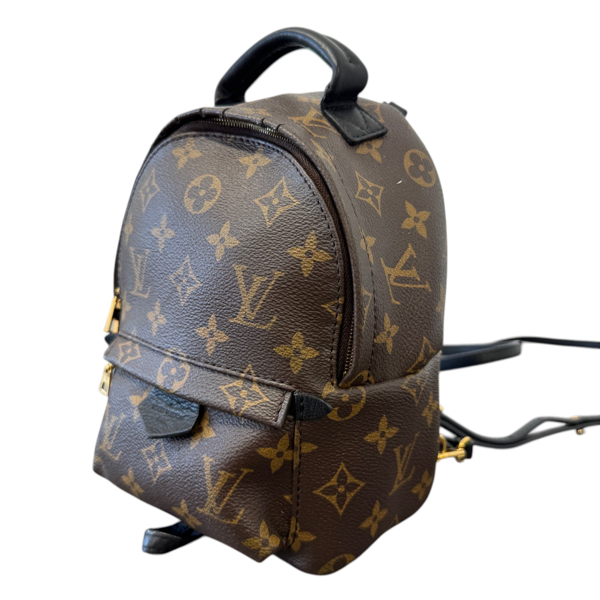 Women's Monogram Palm Springs Mini Backpack Brown