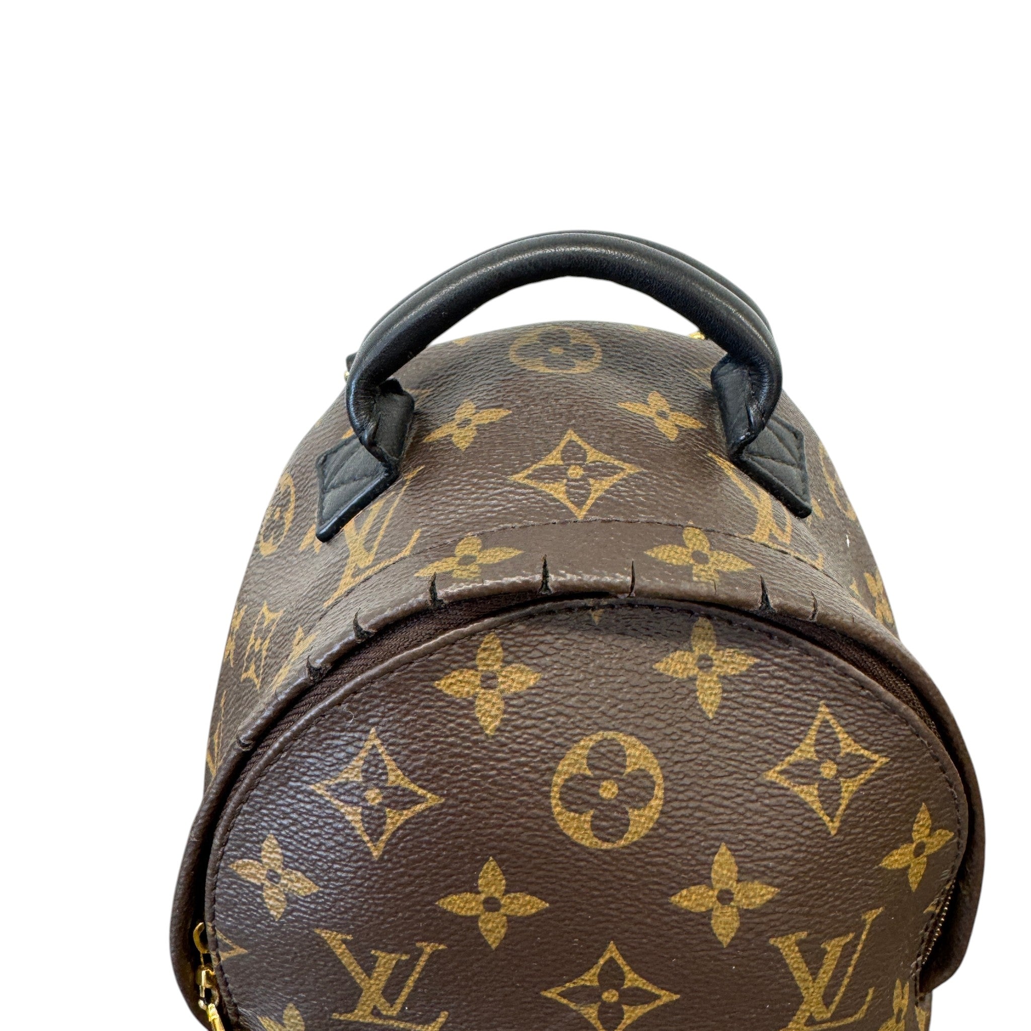 Women's Monogram Palm Springs Mini Backpack Brown