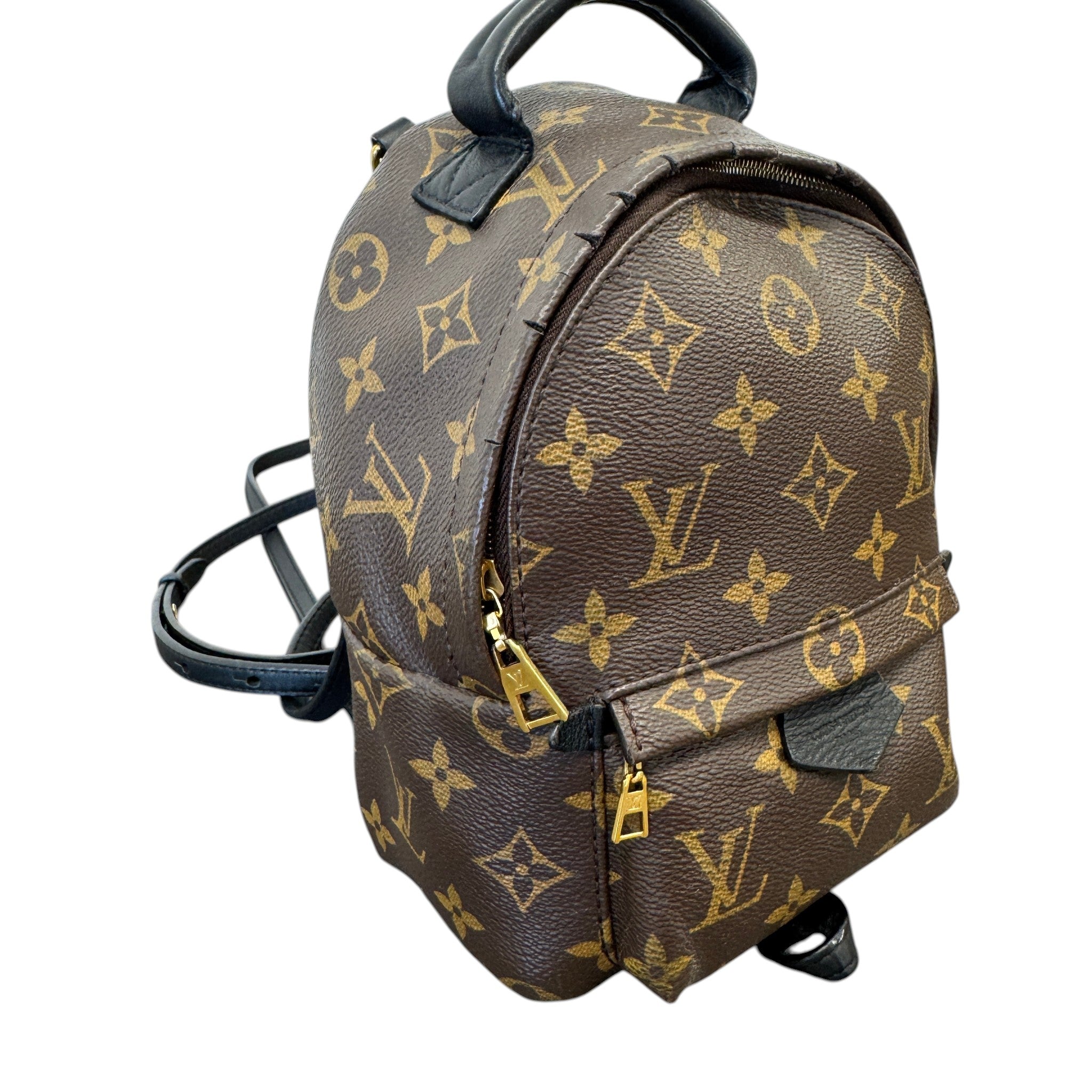 Women's Monogram Palm Springs Mini Backpack Brown