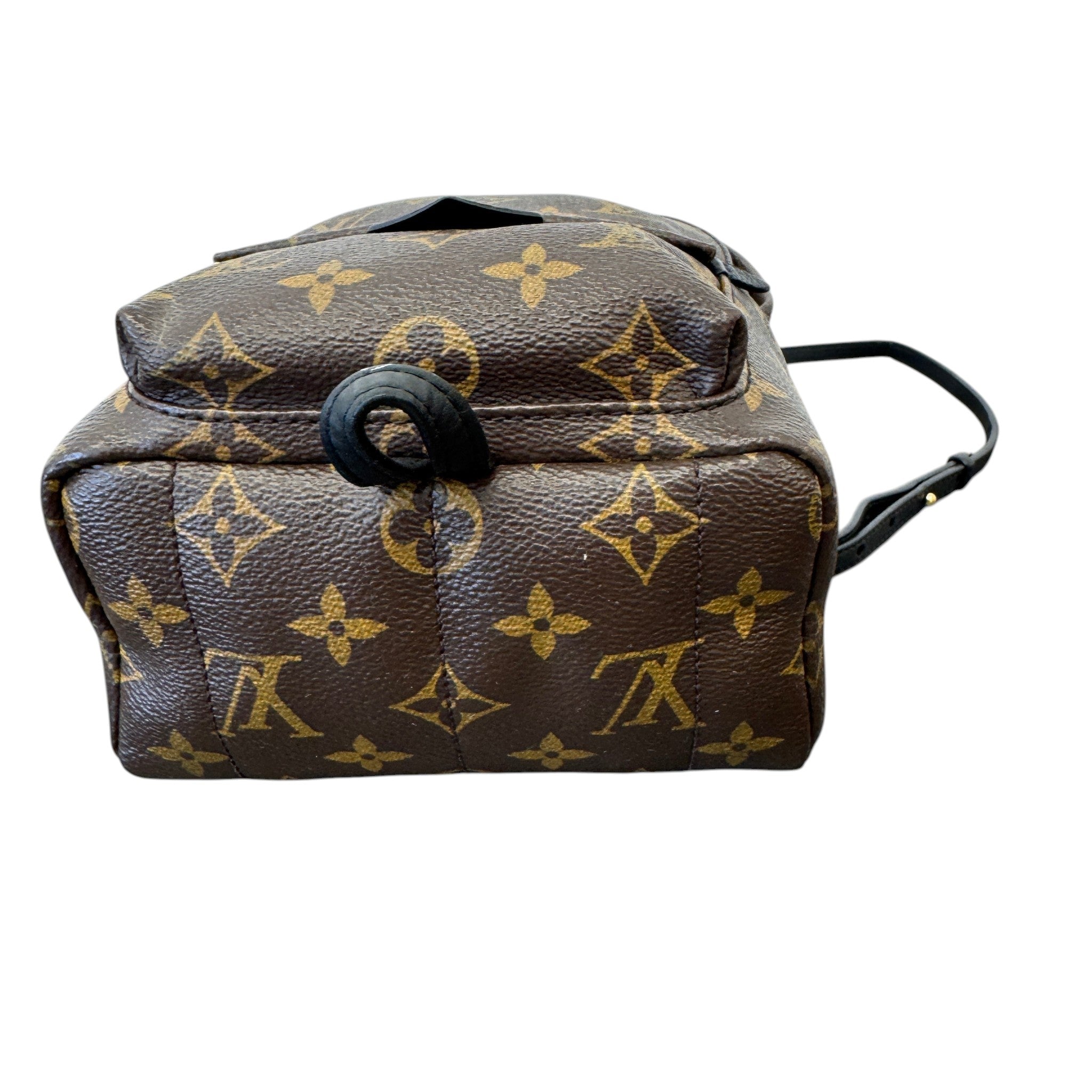 Women's Monogram Palm Springs Mini Backpack Brown