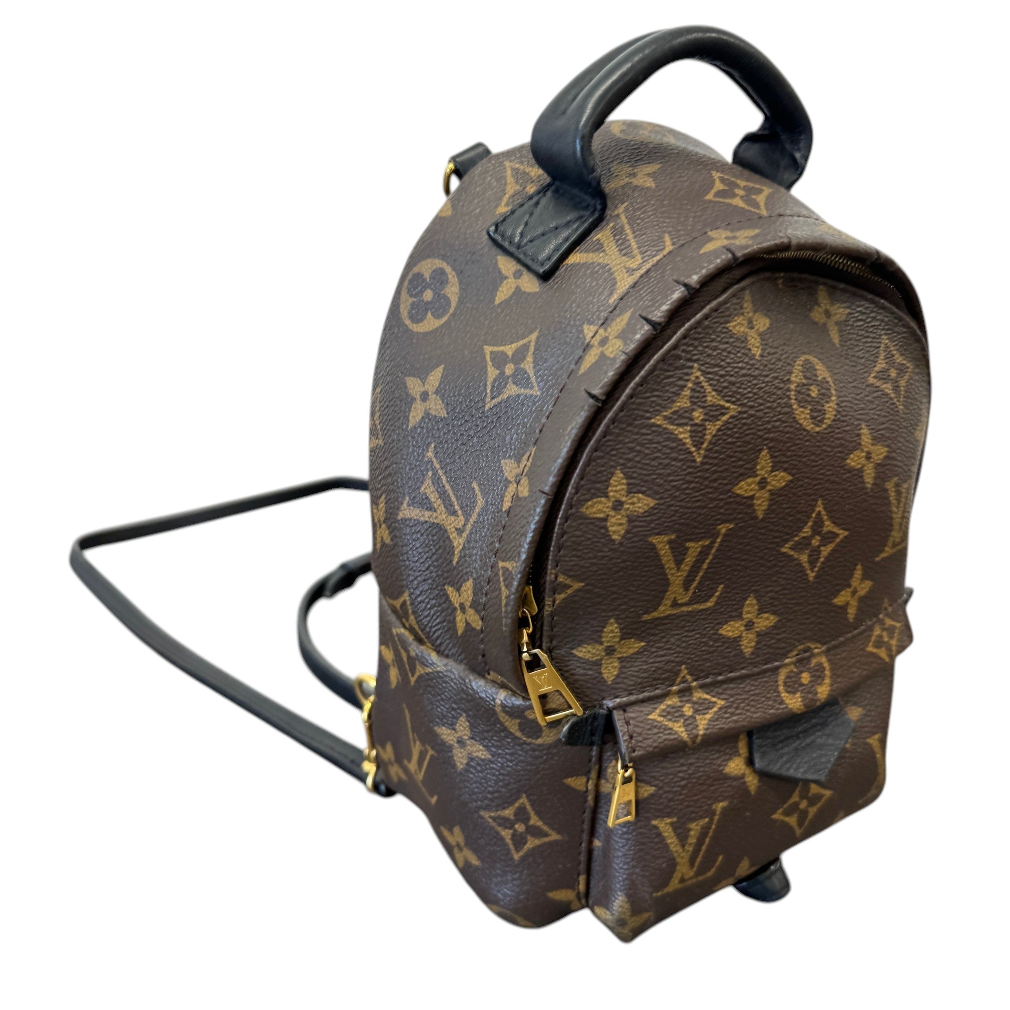 Women's Monogram Palm Springs Mini Backpack Brown