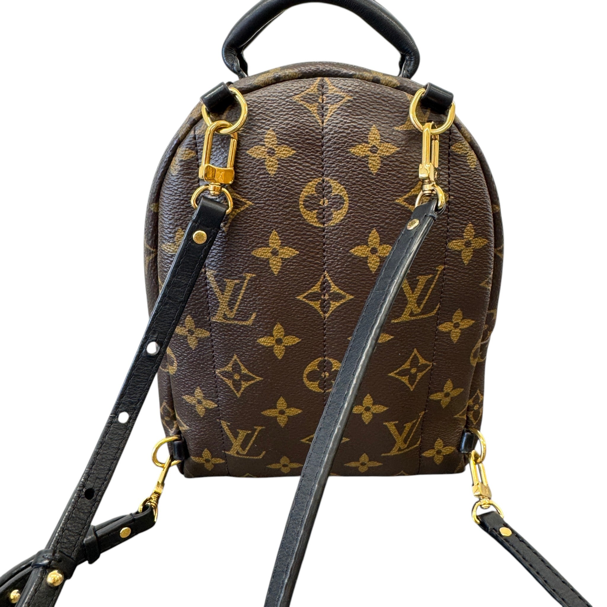 Women's Monogram Palm Springs Mini Backpack Brown