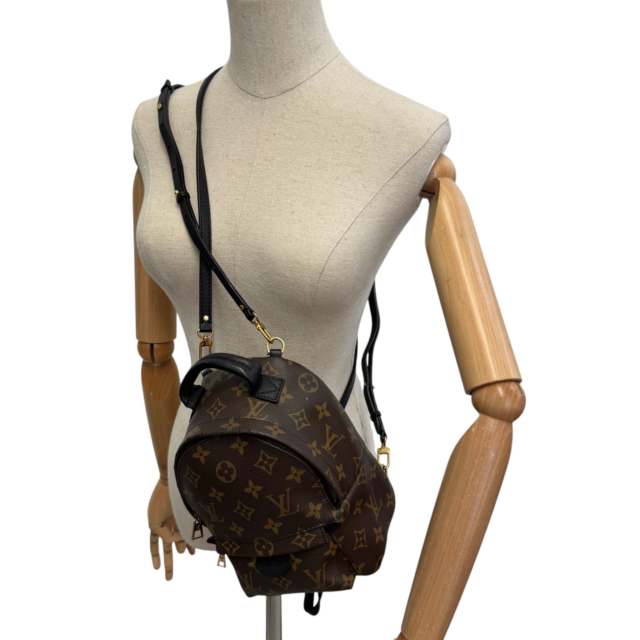 Women's Monogram Palm Springs Mini Backpack Brown