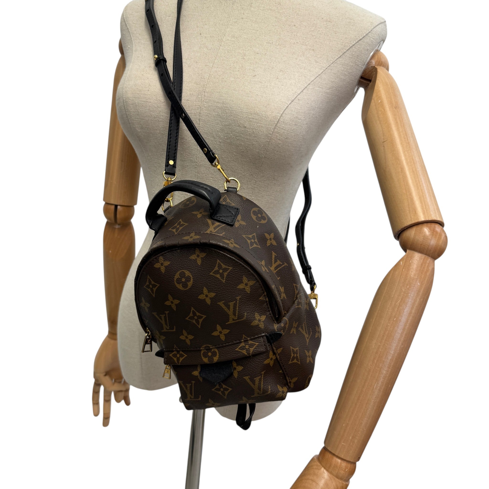 Women's Monogram Palm Springs Mini Backpack Brown