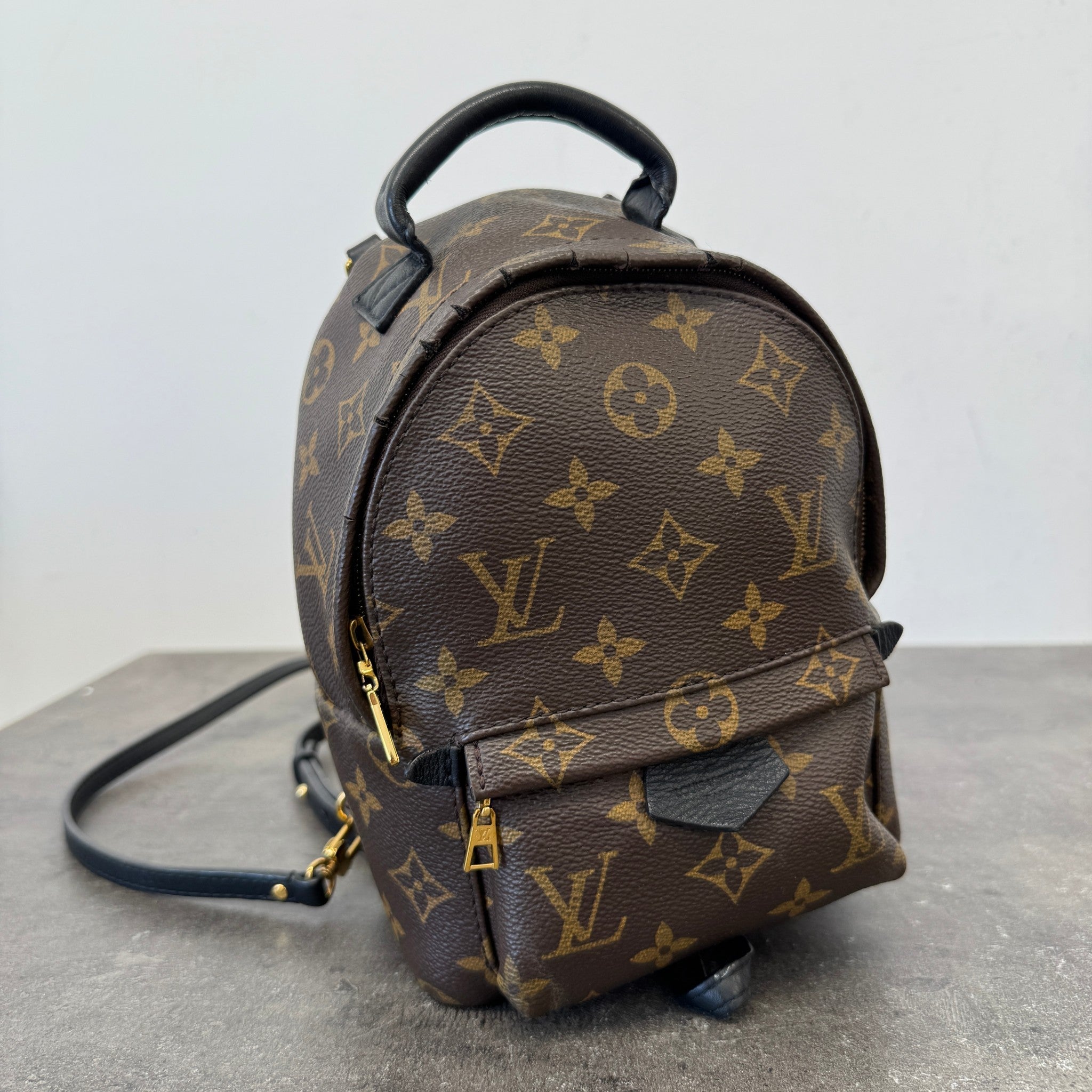 Women's Monogram Palm Springs Mini Backpack Brown