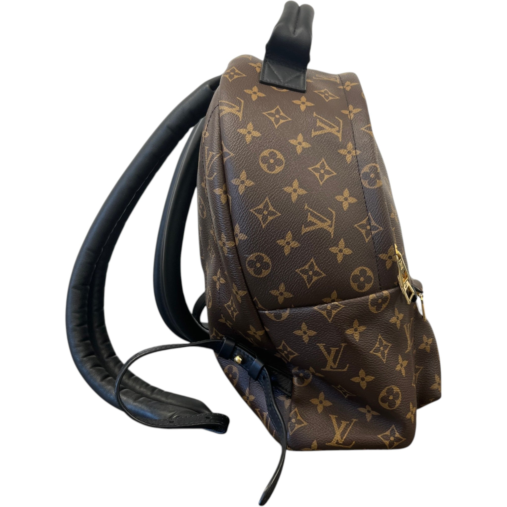 Women's Monogram Palm Springs Mm Backpack Brown
