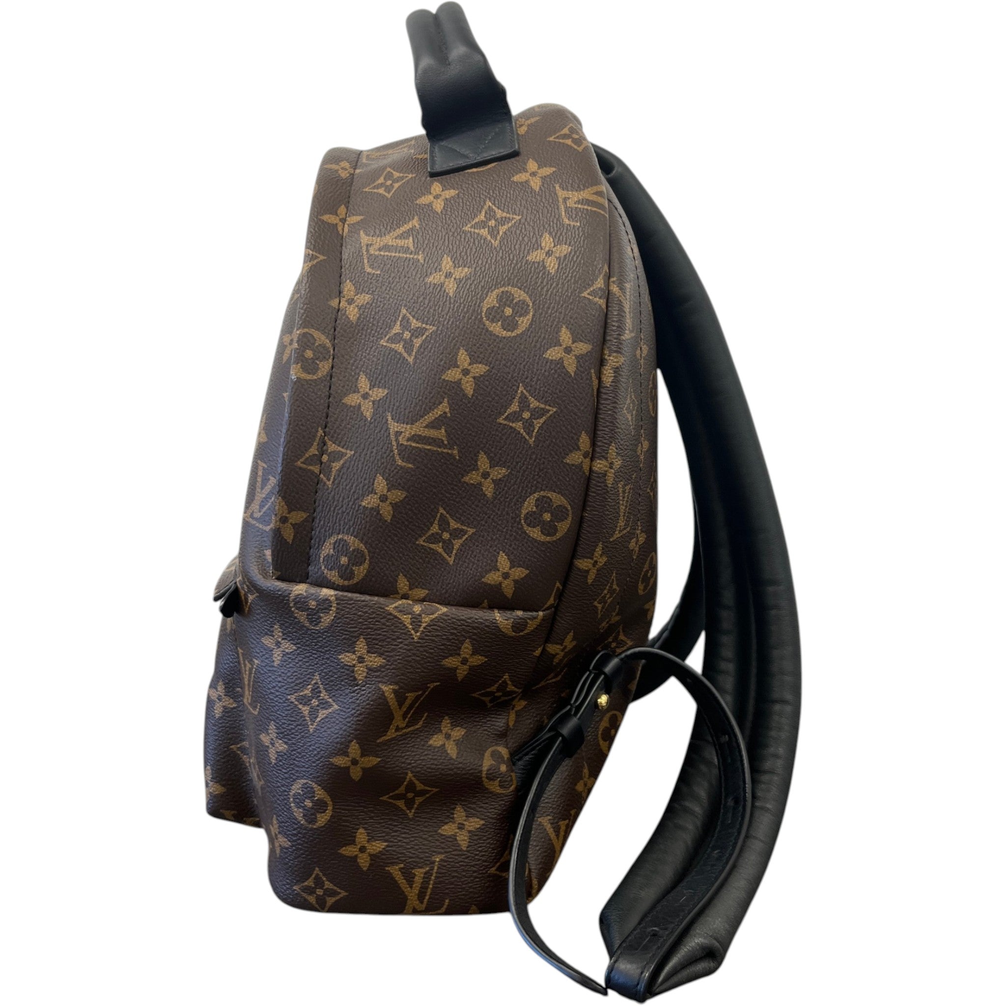 Women's Monogram Palm Springs Mm Backpack Brown