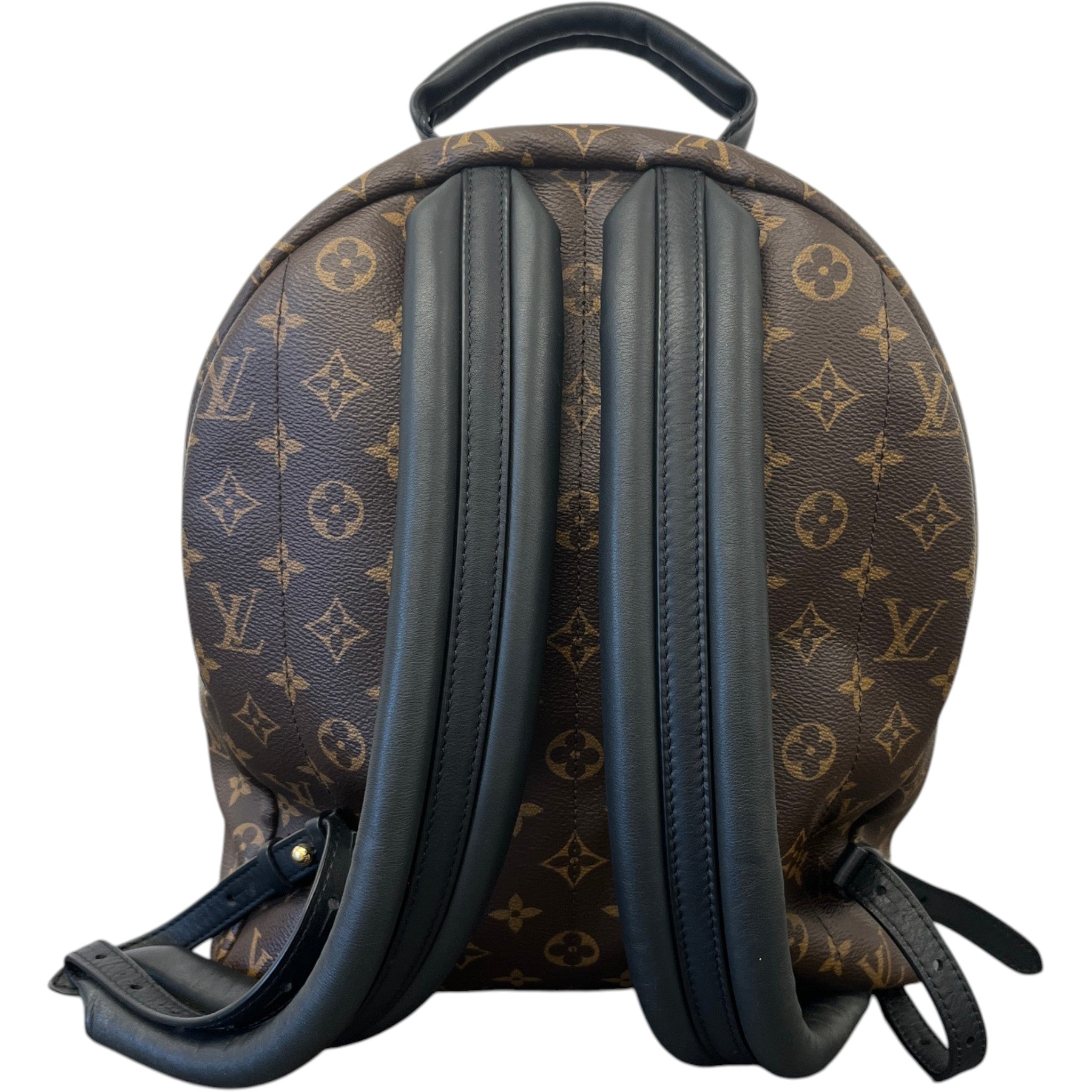 Women's Monogram Palm Springs Mm Backpack Brown