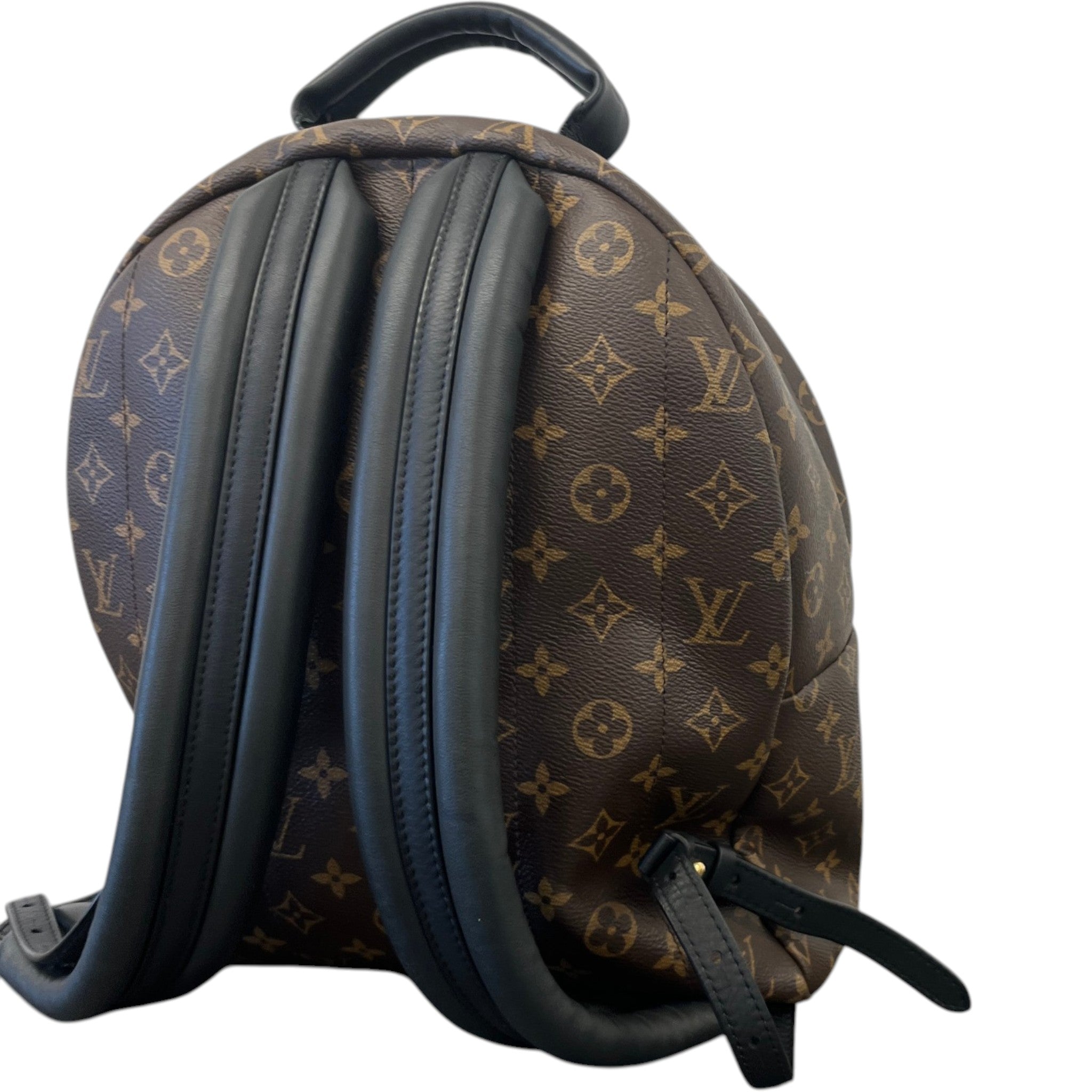 Women's Monogram Palm Springs Mm Backpack Brown