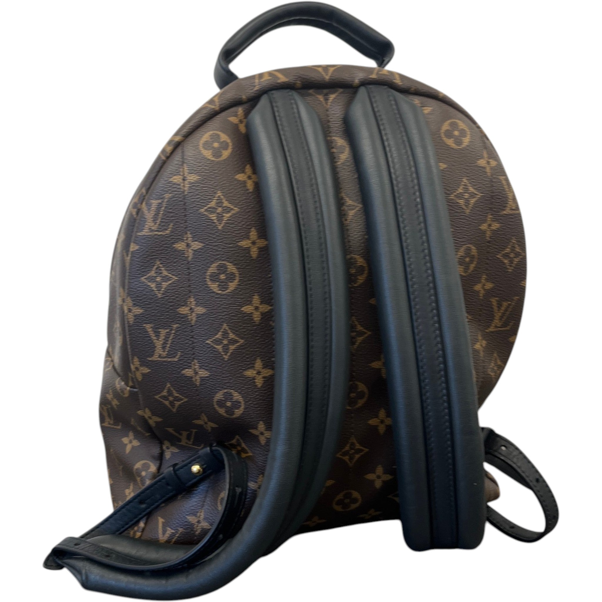 Women's Monogram Palm Springs Mm Backpack Brown