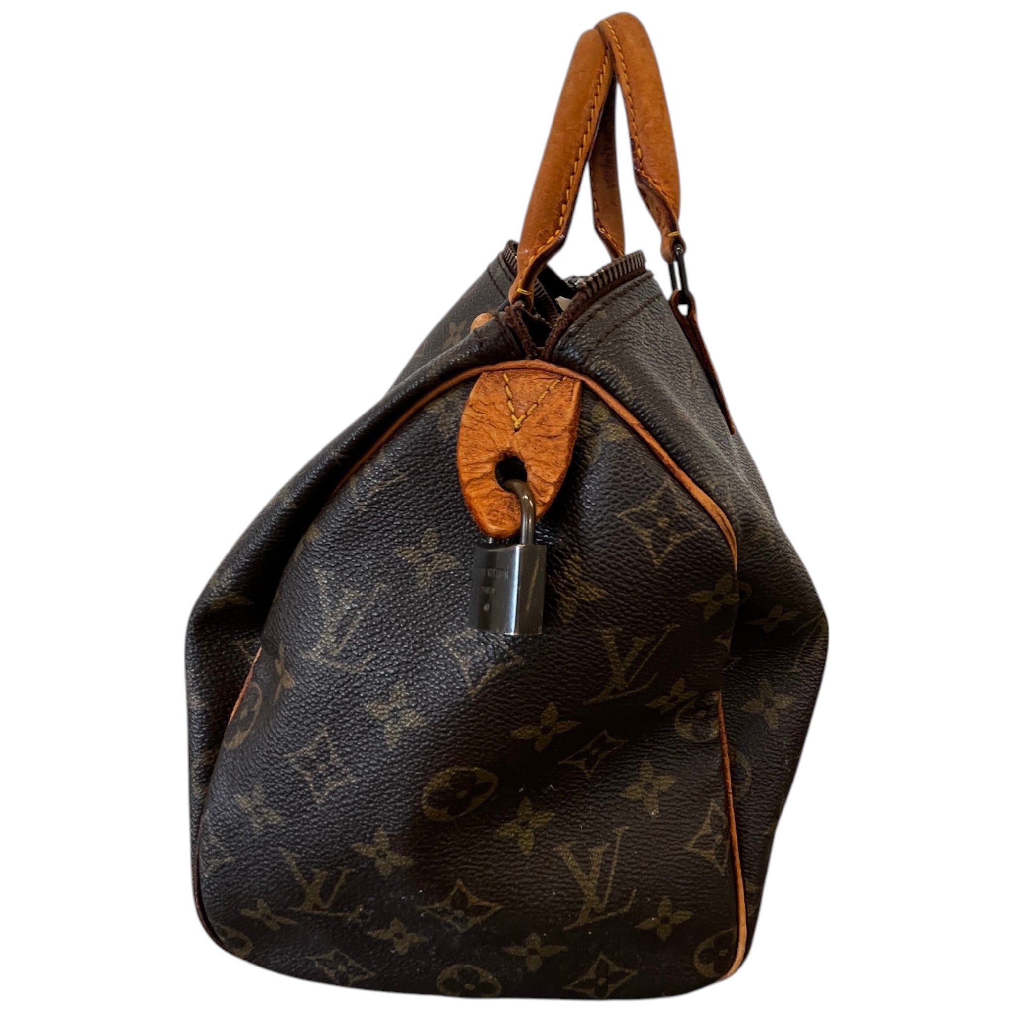 Women's Monogram Speedy 30 Bag Brown
