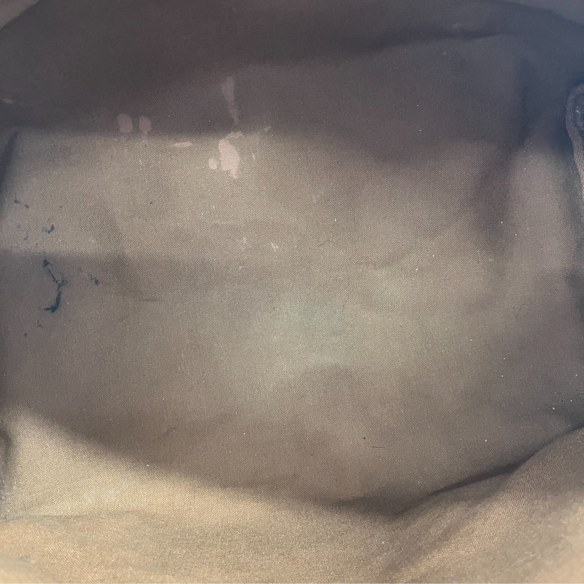 Monogram Canvas Speedy 40 Bag Brown