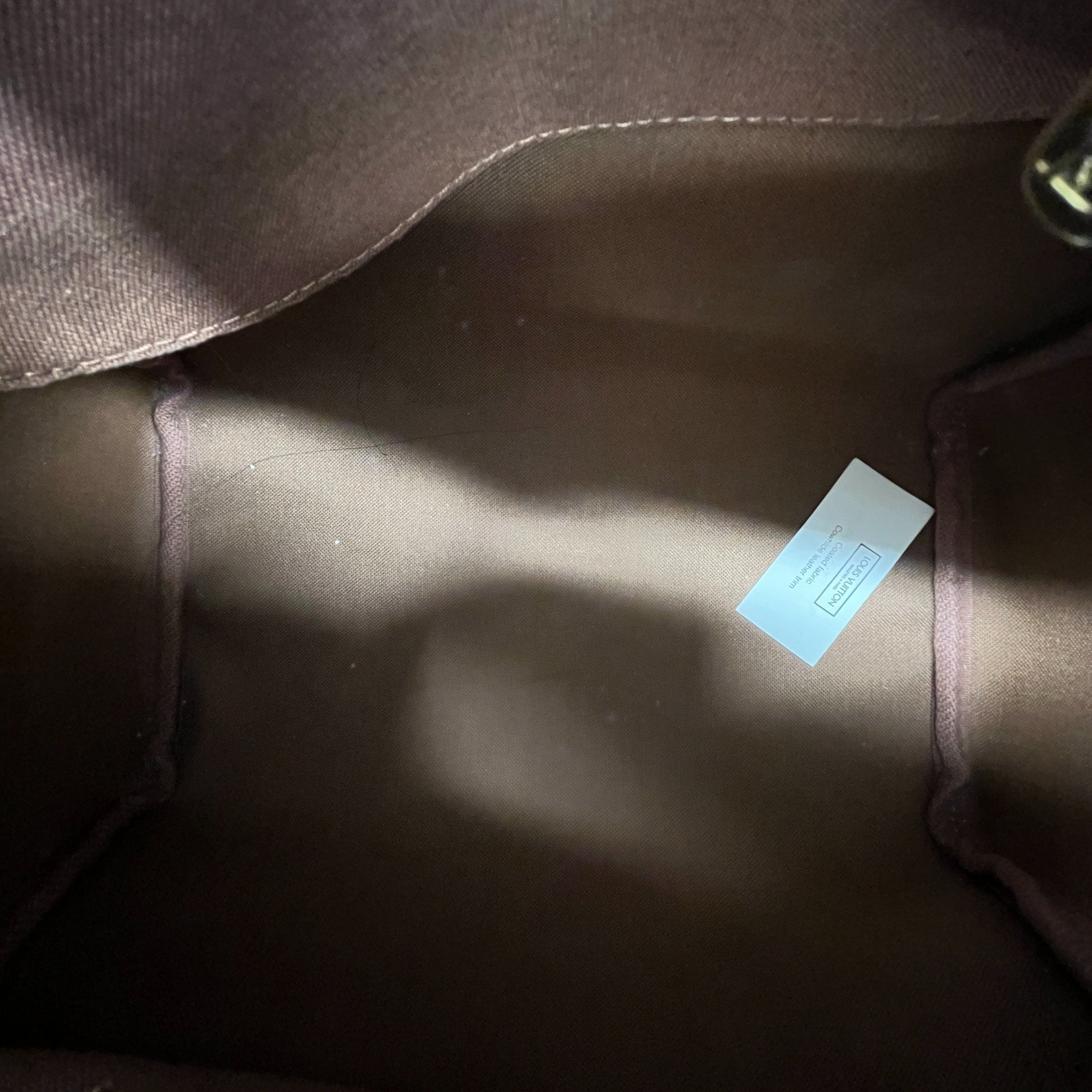 Women's Monogram Speedy 25 Bag Brown