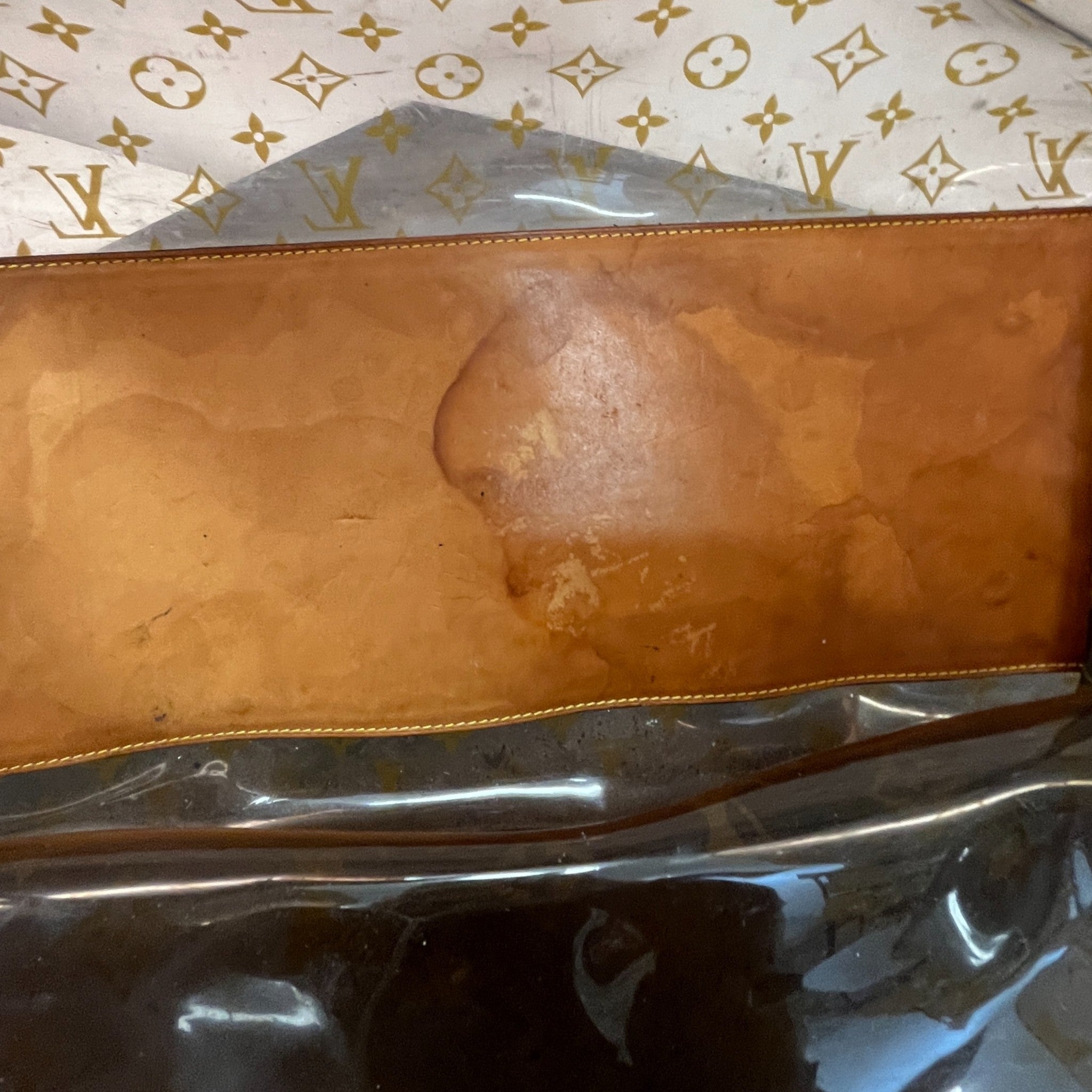 Women's Cabas Cruise Monogram Bag Brown