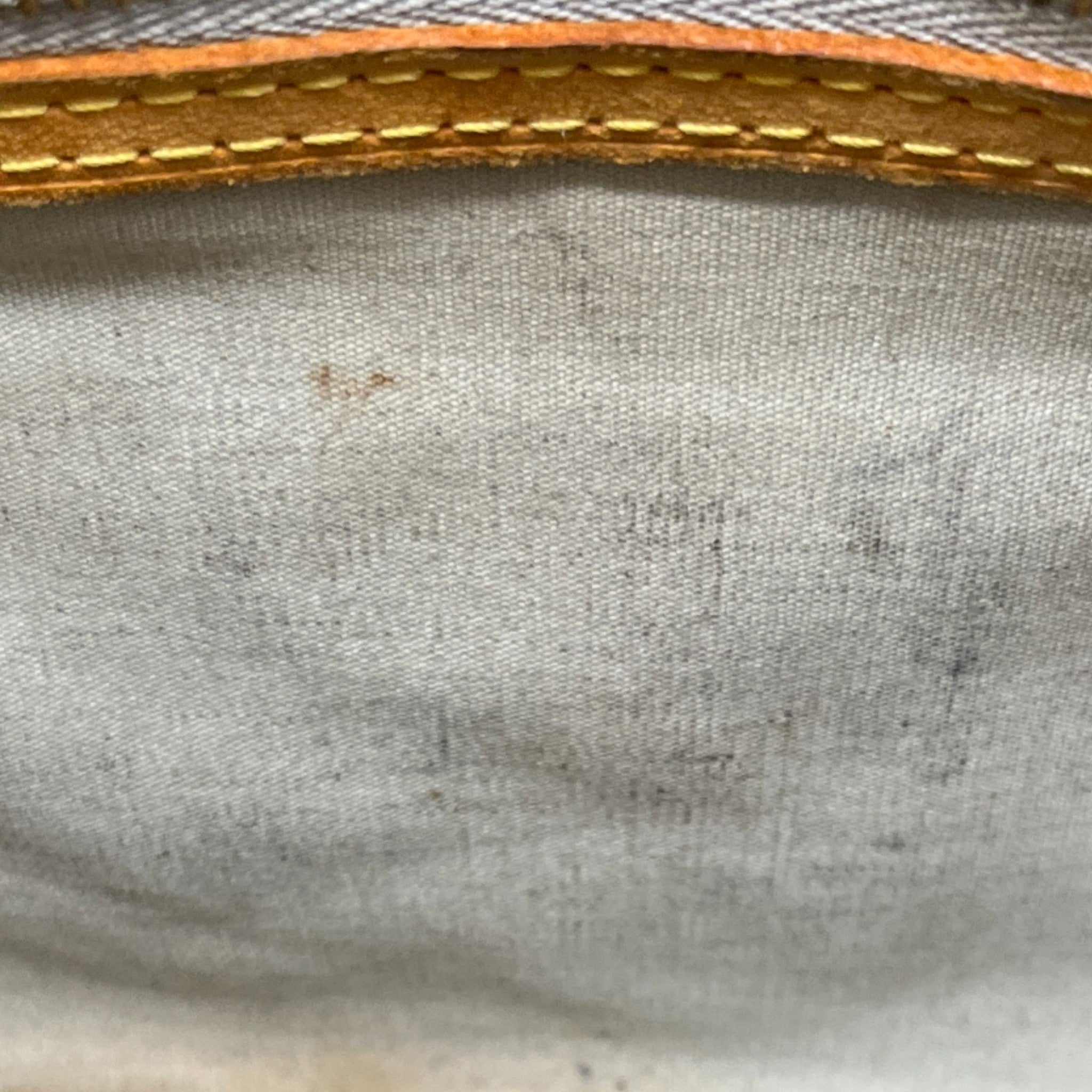 Women's Monogram Vernis Reade Pm Handbag Beige