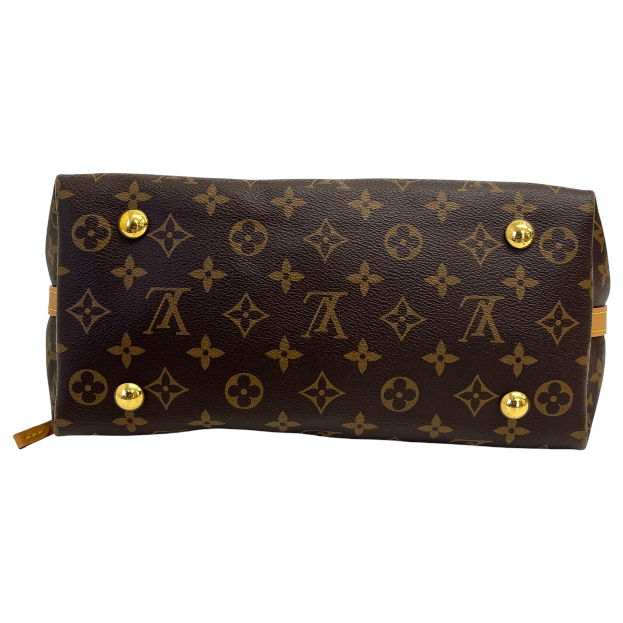Women's Monogram Carryall Pm Bag Brown