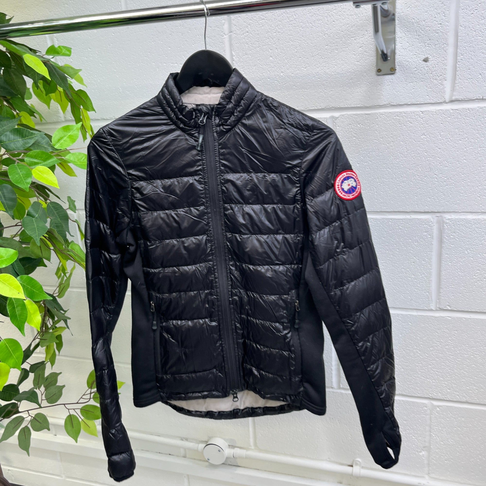 Women's Hybridge Jacket Black Size XS