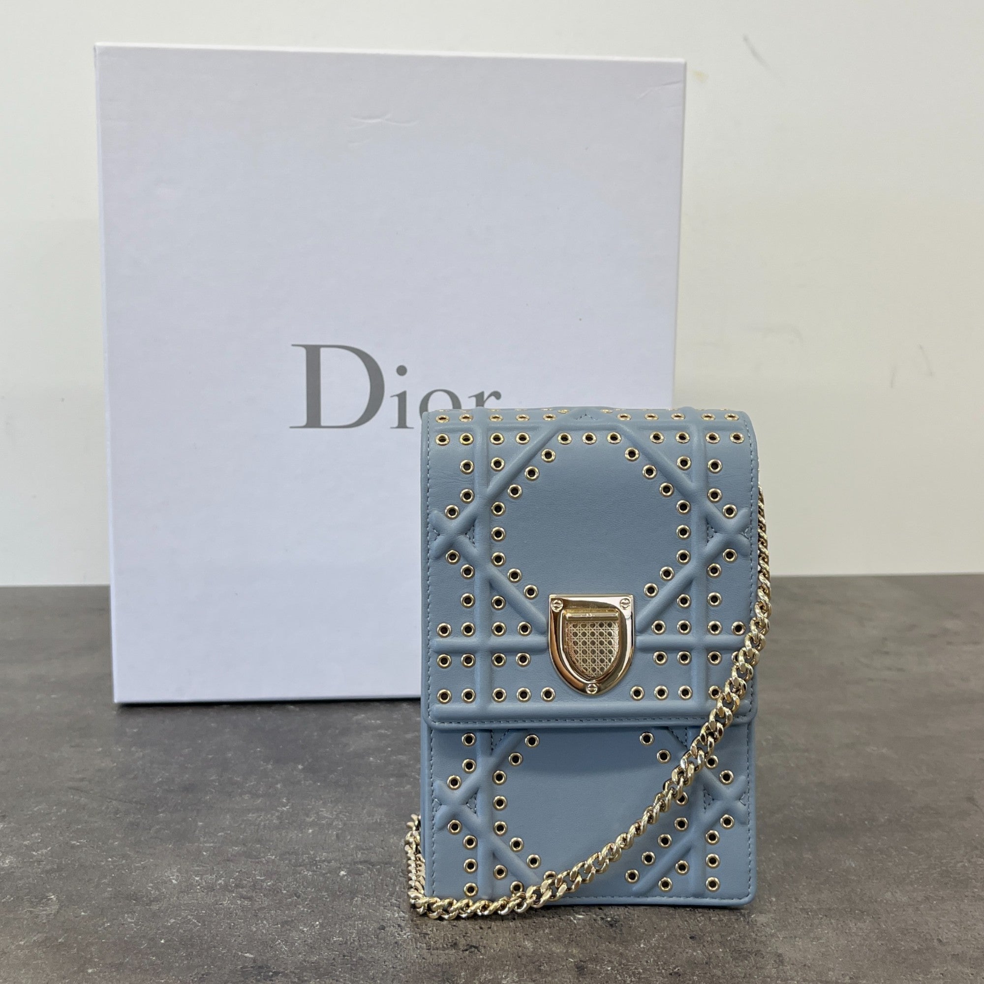 Women's Diorama Vertical Bag Blue