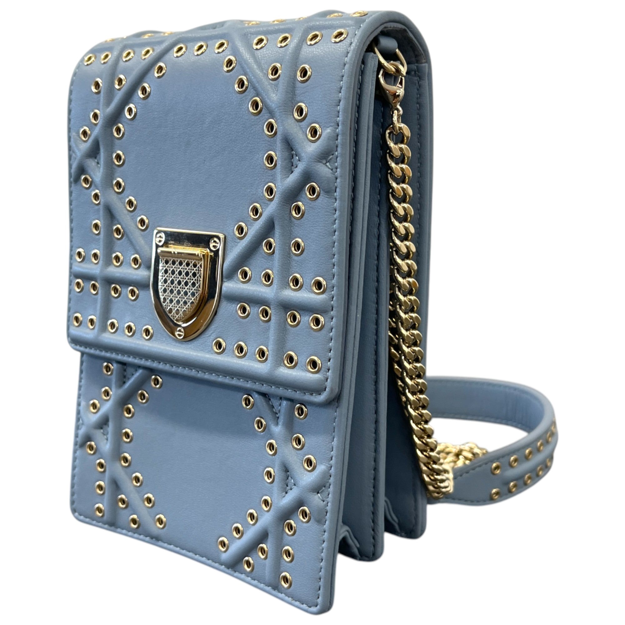 Women's Diorama Vertical Bag Blue