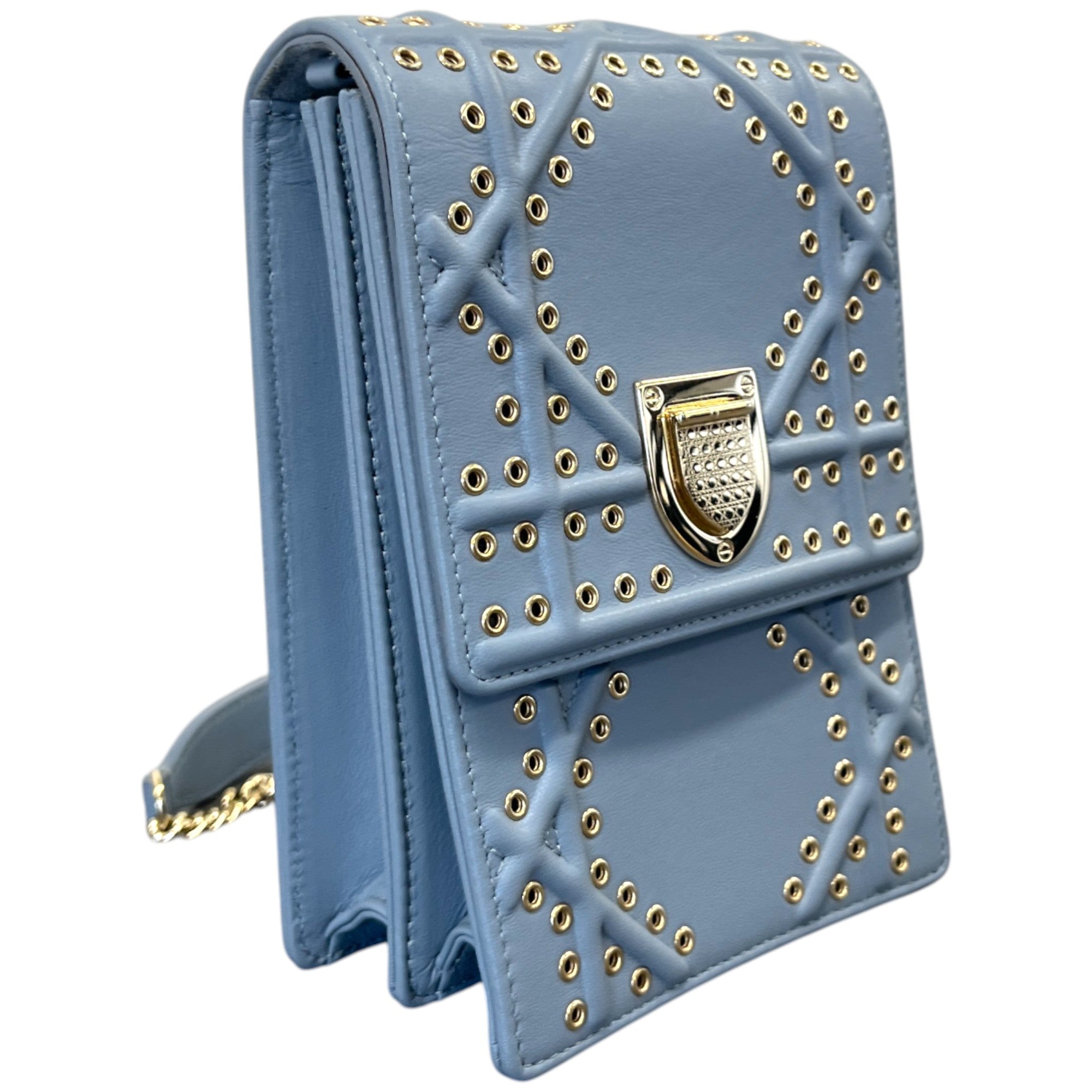 Women's Diorama Vertical Bag Blue