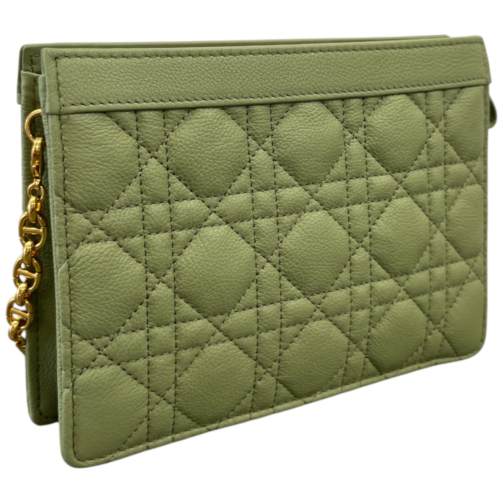 Women's Caro Every Dior Bag Green