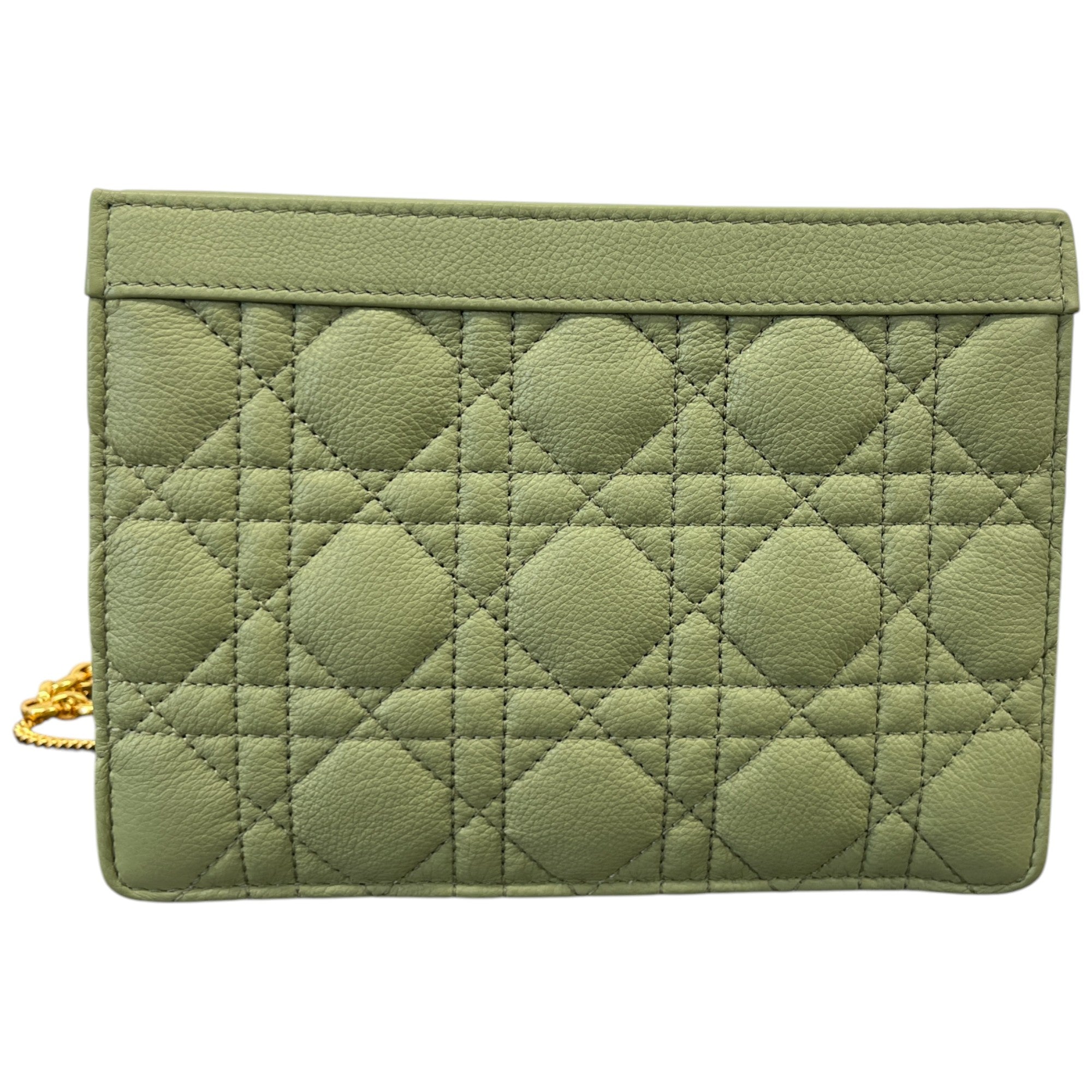 Women's Caro Every Dior Bag Green