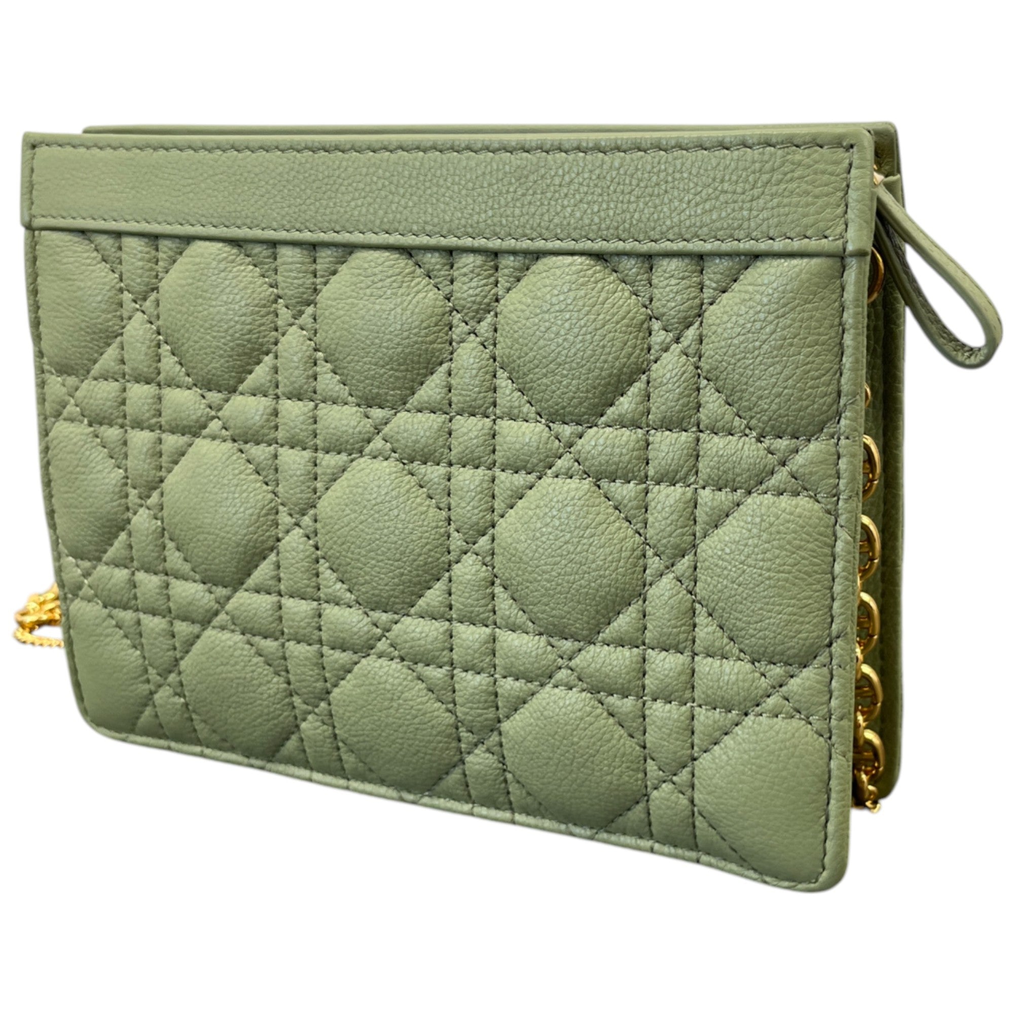 Women's Caro Every Dior Bag Green
