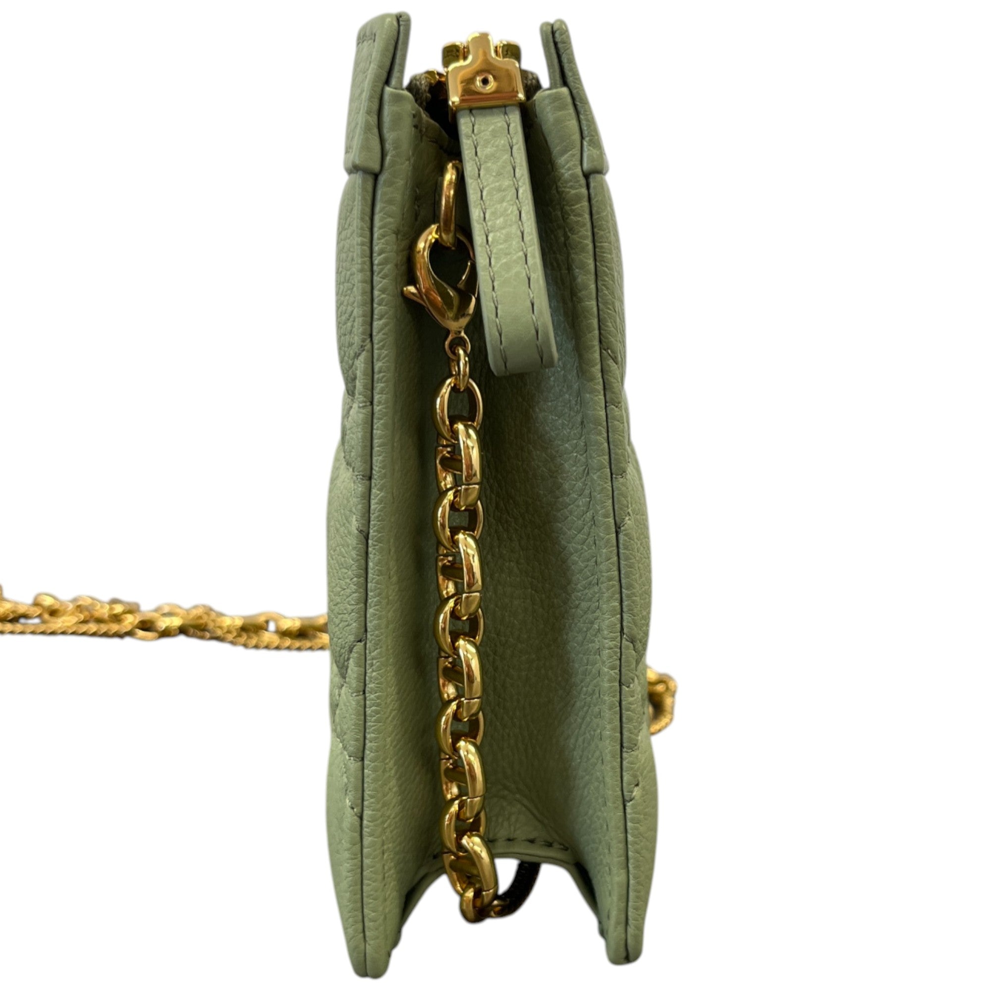 Women's Caro Every Dior Bag Green