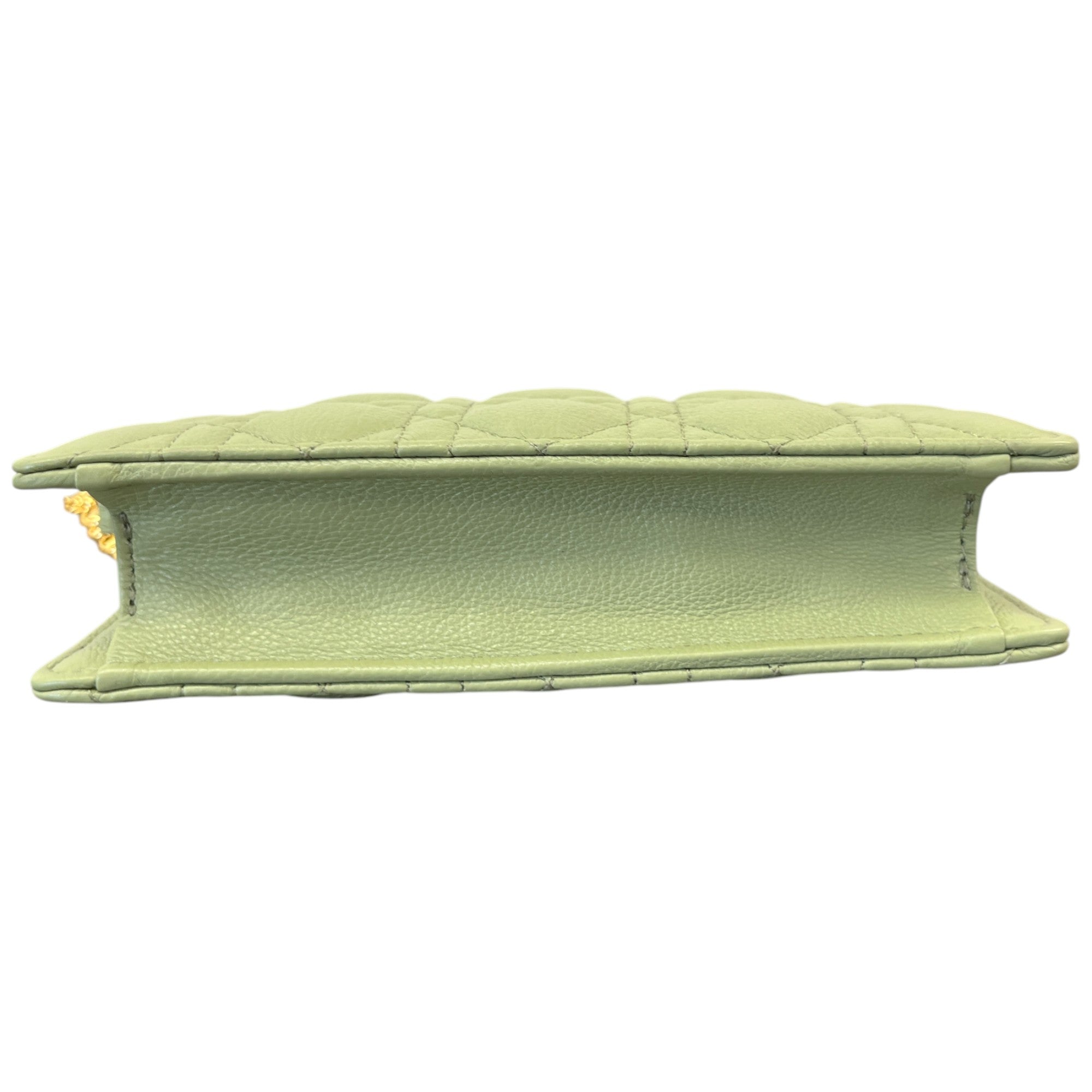 Women's Caro Every Dior Bag Green