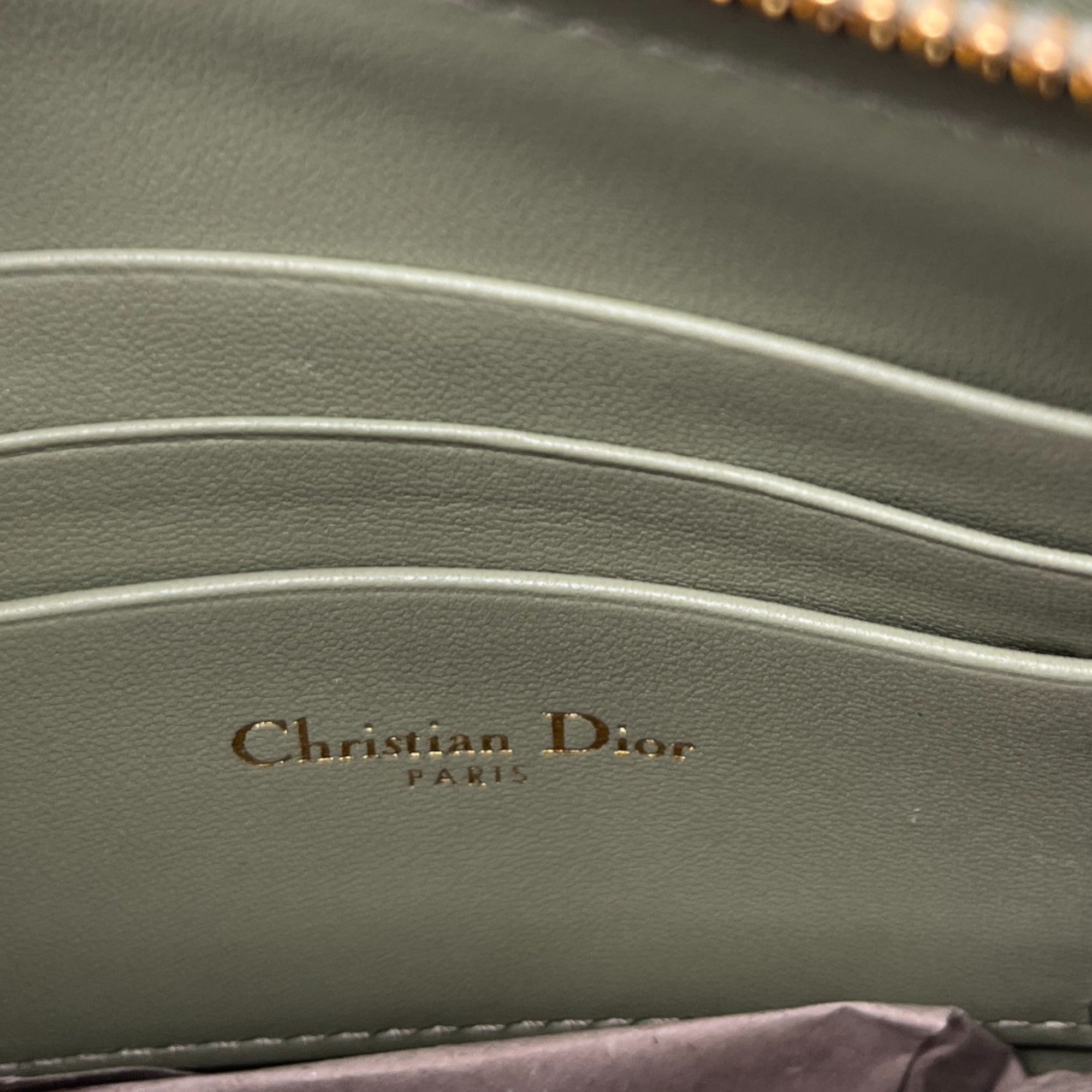 Women's Caro Every Dior Bag Green