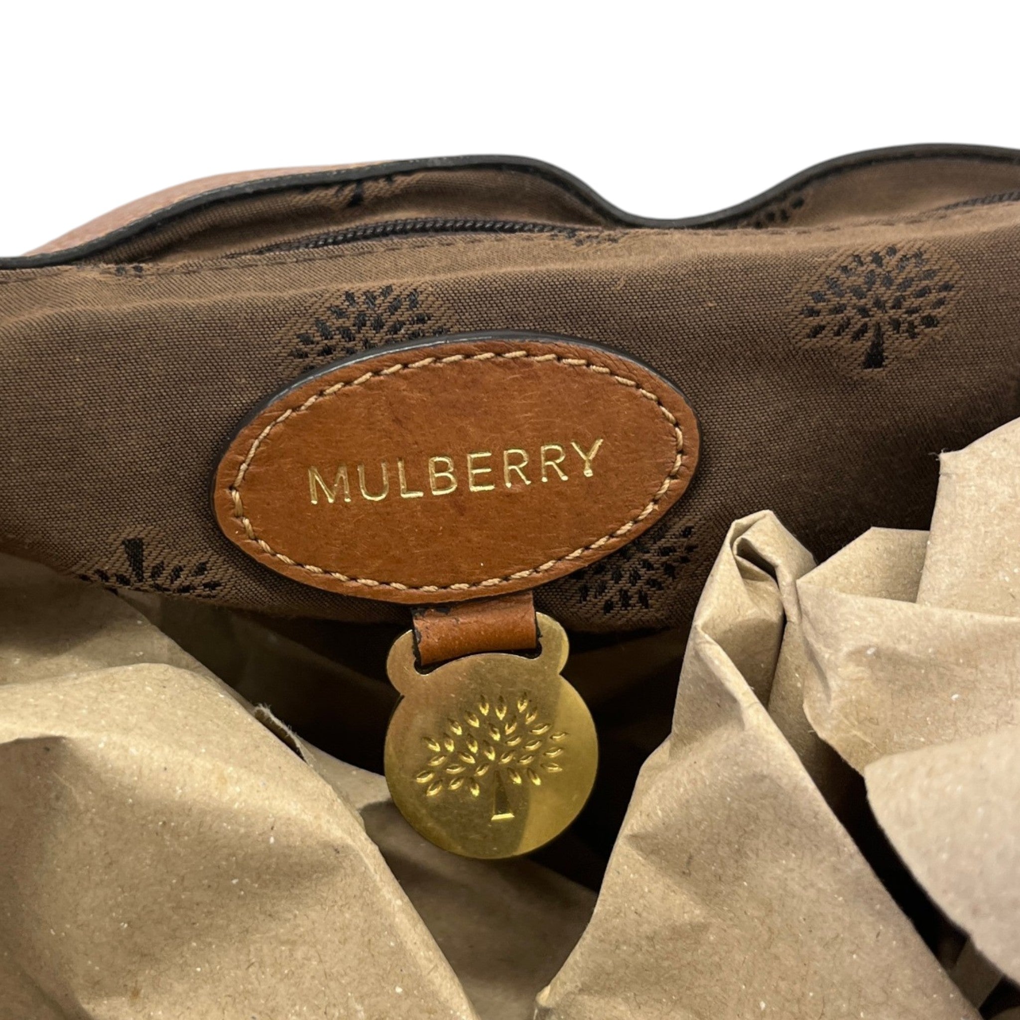 Women's Alexa Satchel Handbag Brown