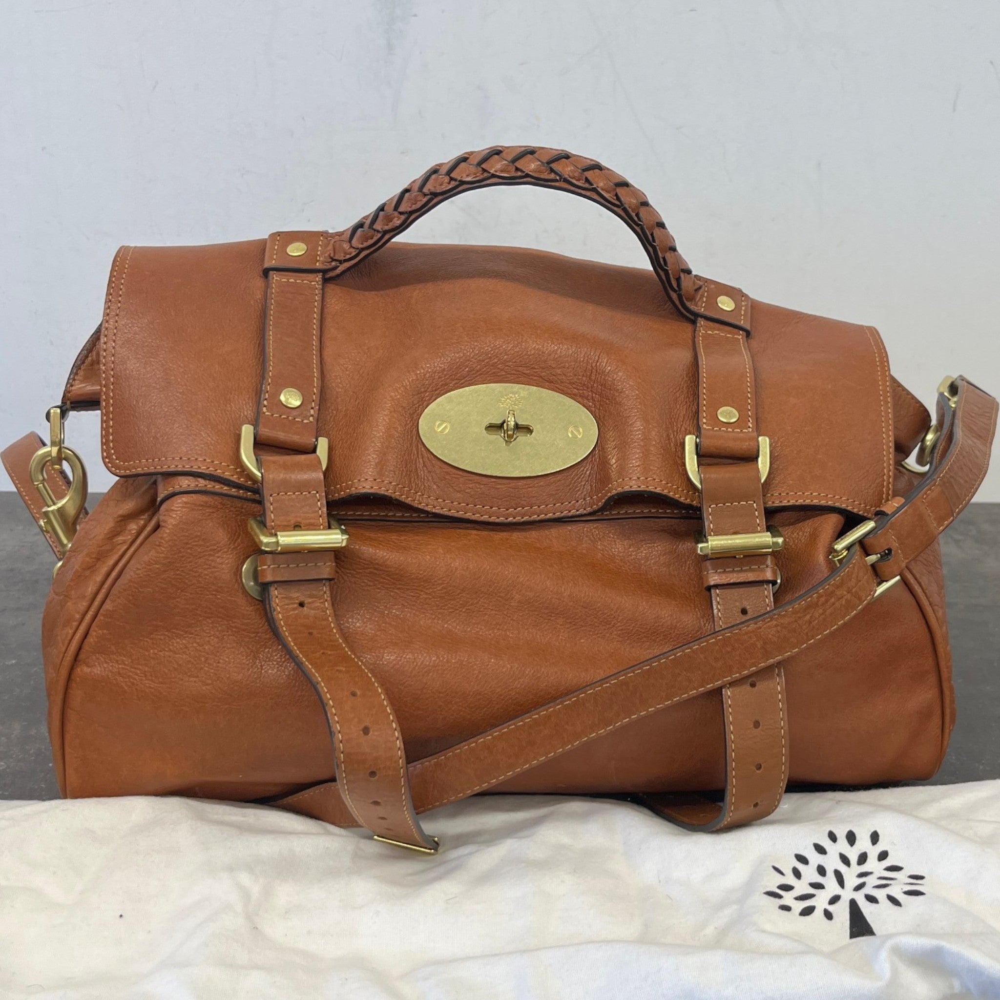 Women's Alexa Satchel Handbag Brown