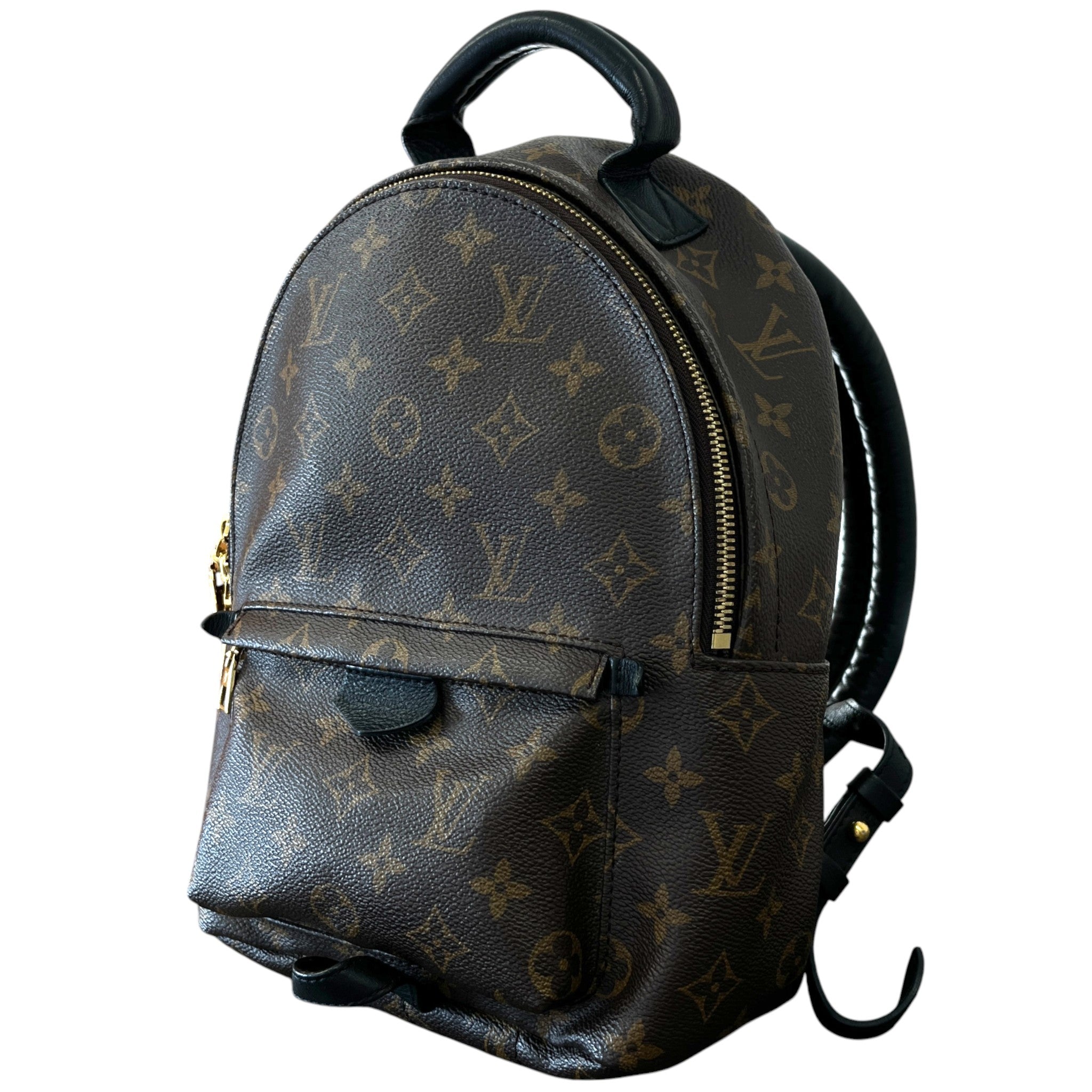 Women's Palm Springs Pm Backpack Brown