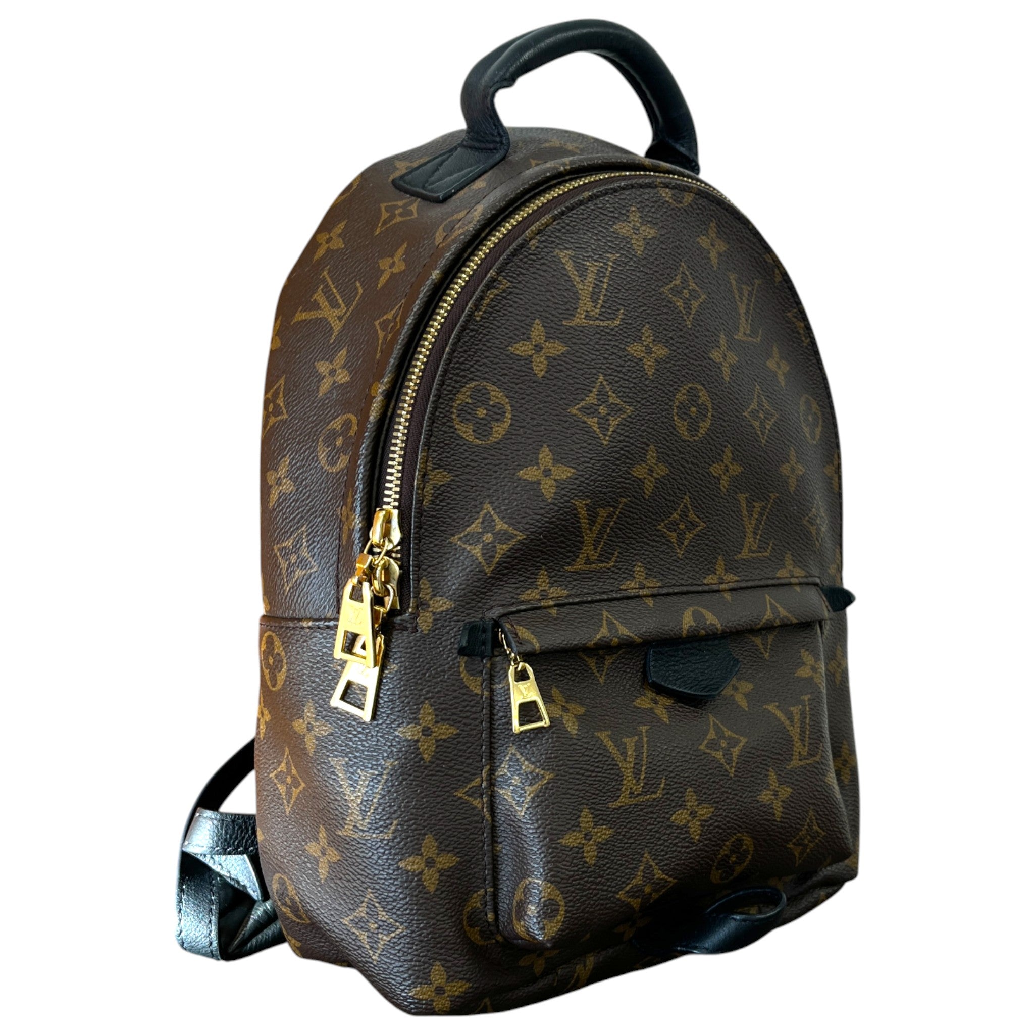 Women's Palm Springs Pm Backpack Brown