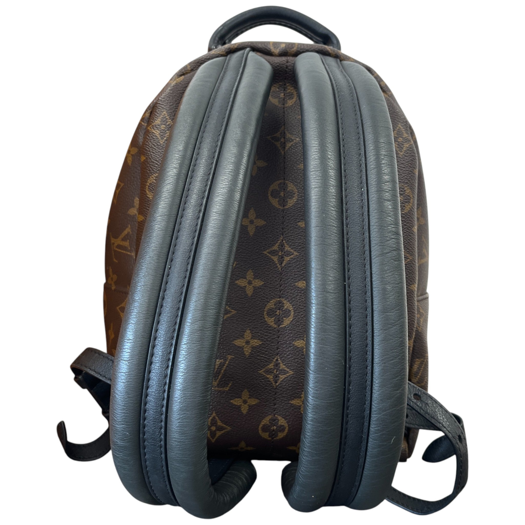 Women's Palm Springs Pm Backpack Brown
