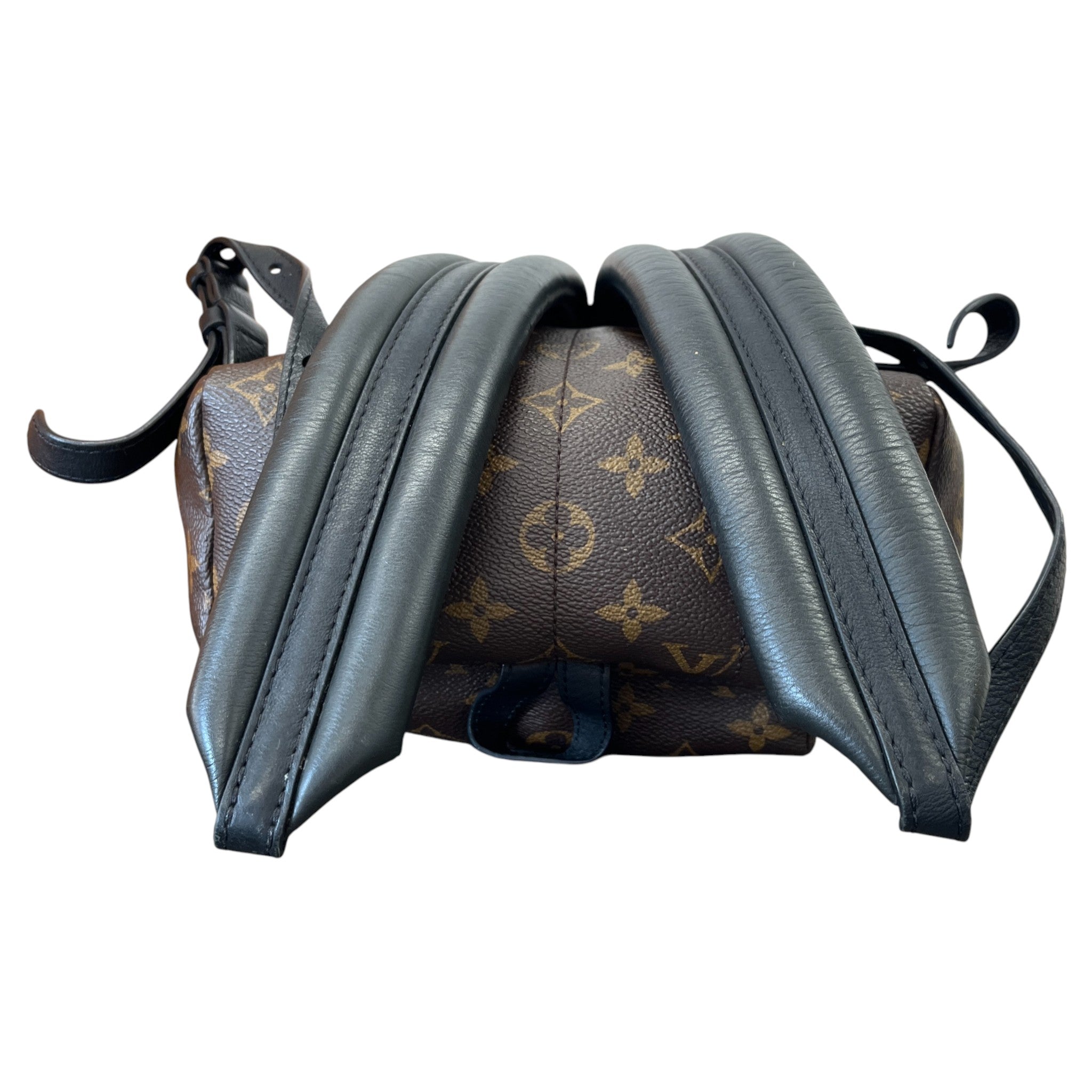 Women's Palm Springs Pm Backpack Brown