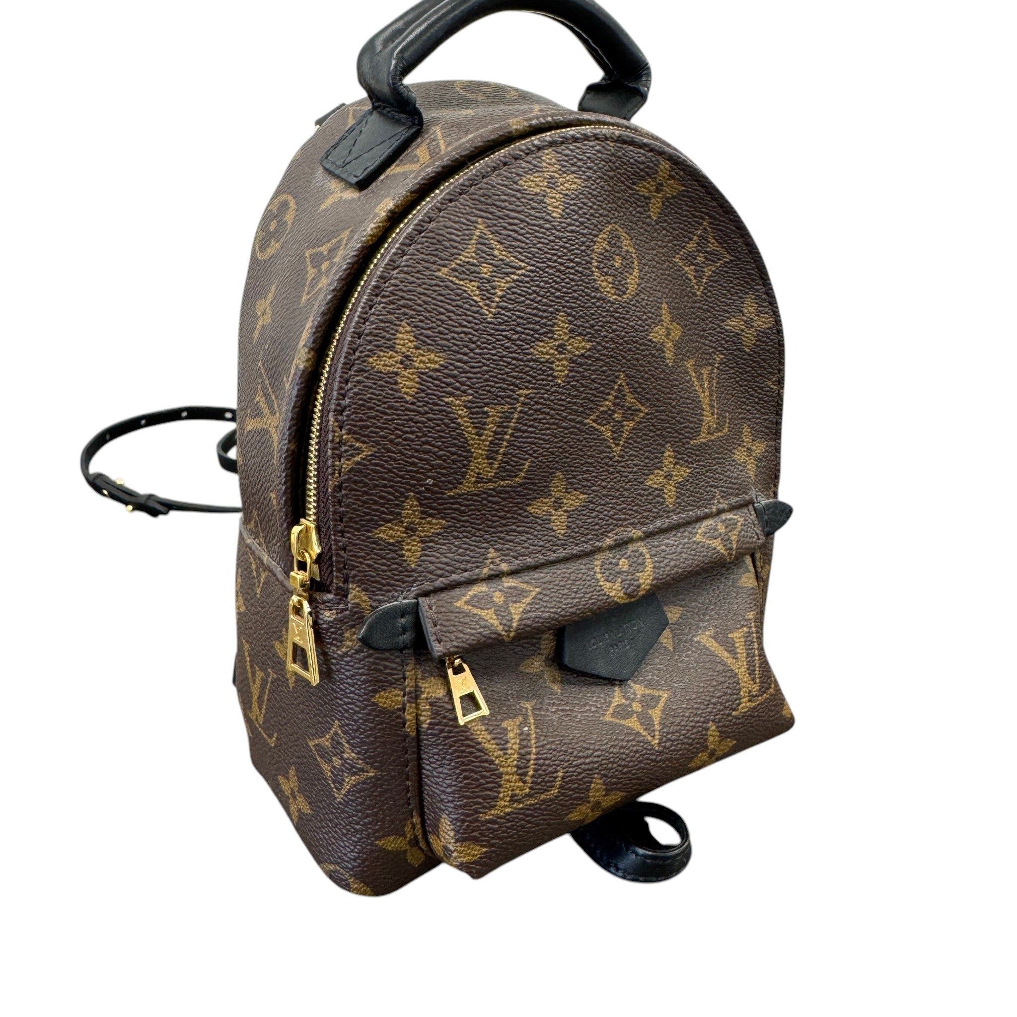 Women's Monogram Palm Springs Mini Backpack Brown