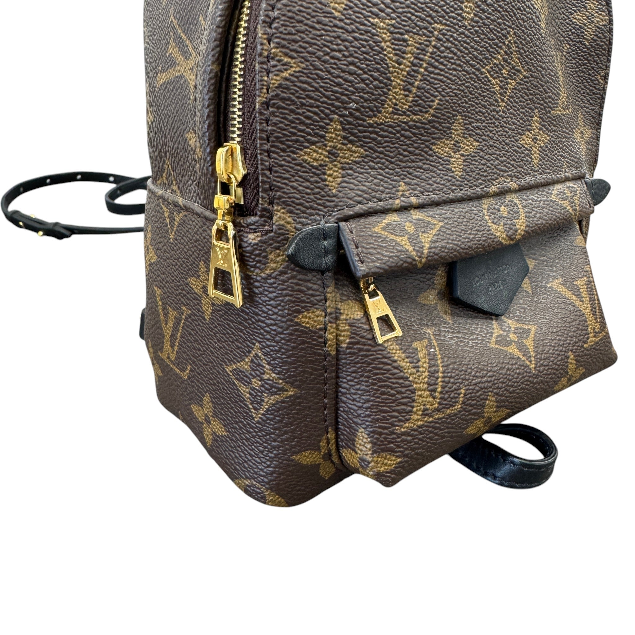 Women's Monogram Palm Springs Mini Backpack Brown