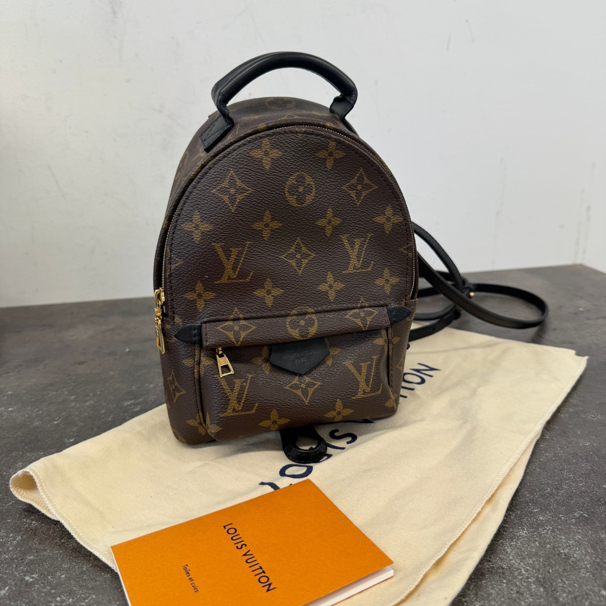 Women's Monogram Palm Springs Mini Backpack Brown