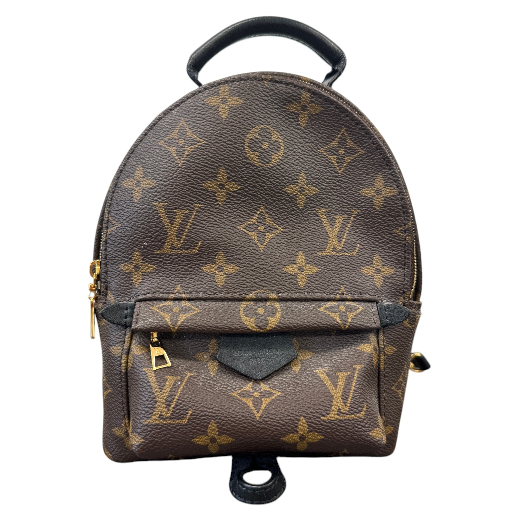 Women's Monogram Palm Springs Mini Backpack Brown