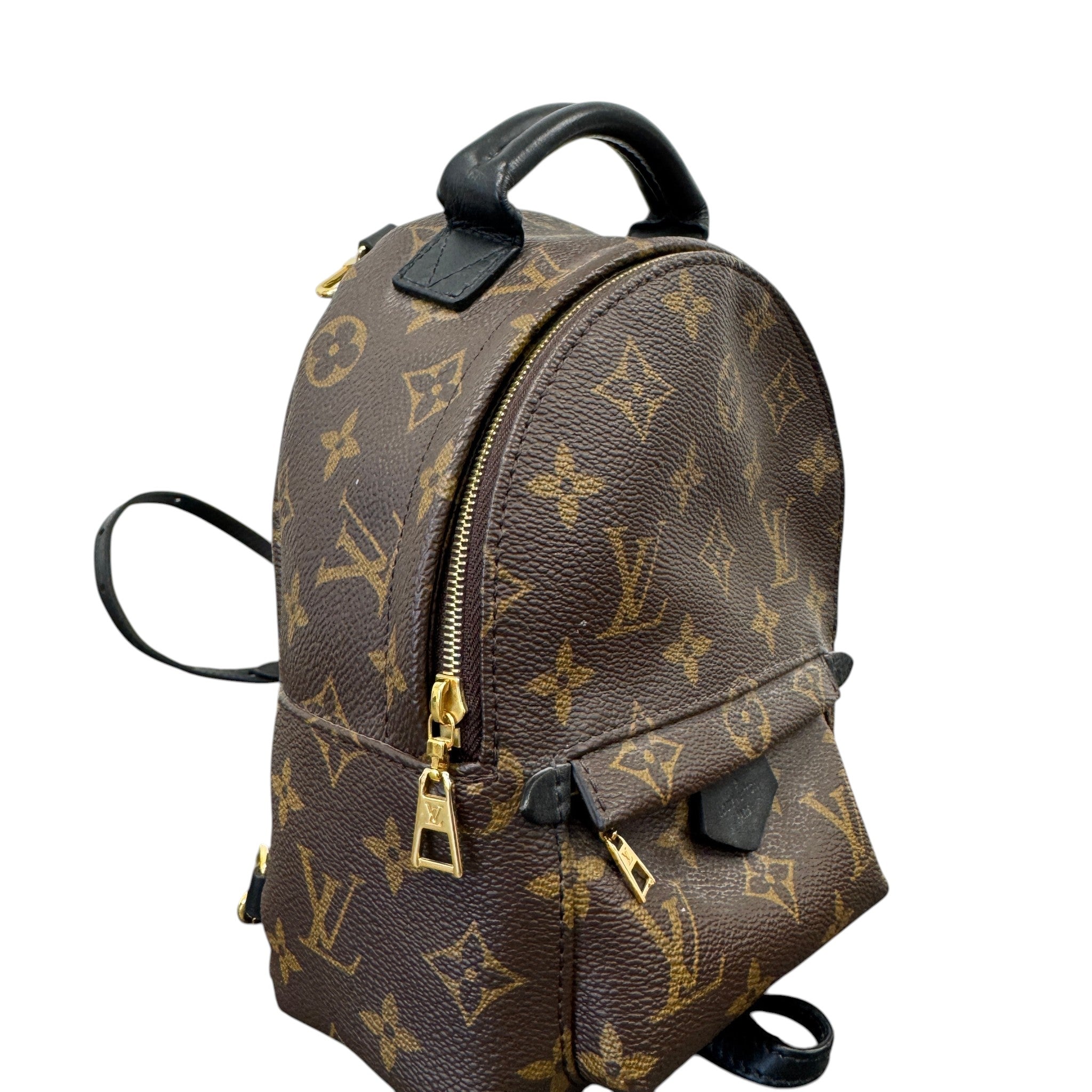 Women's Monogram Palm Springs Mini Backpack Brown
