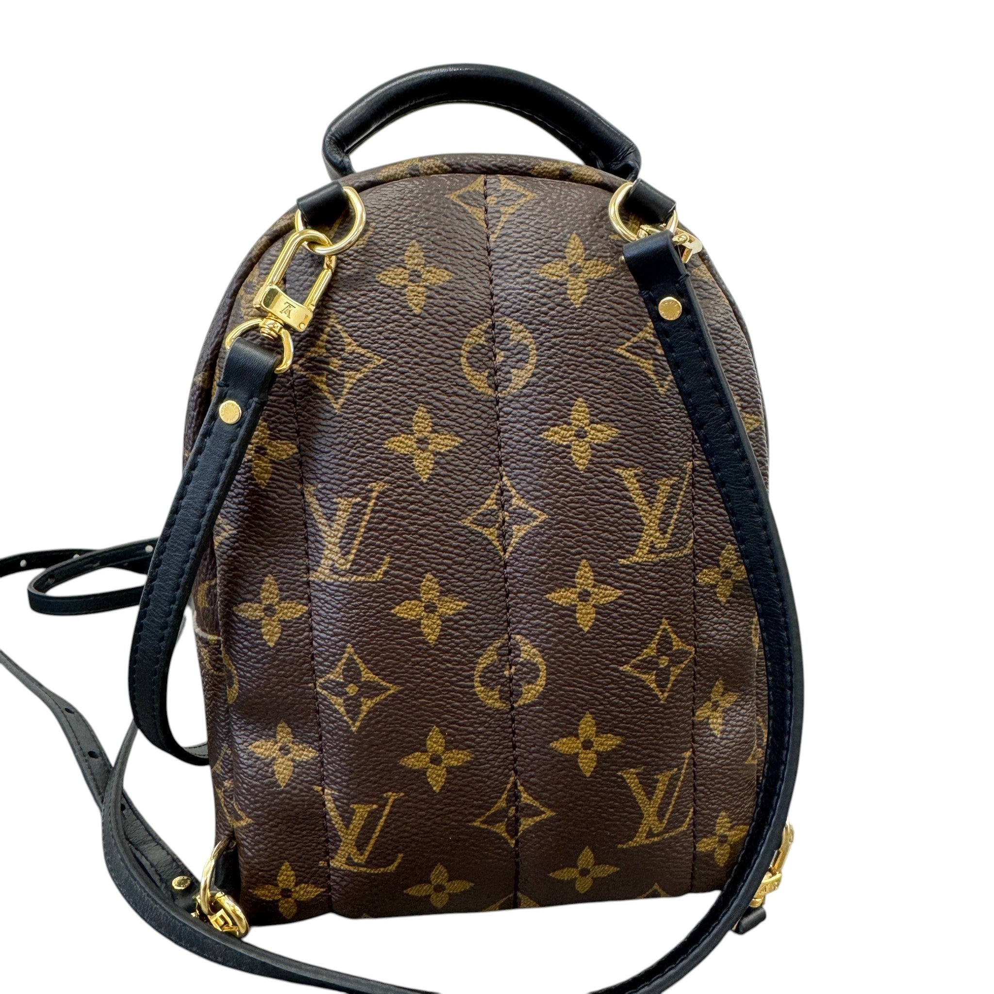 Women's Monogram Palm Springs Mini Backpack Brown