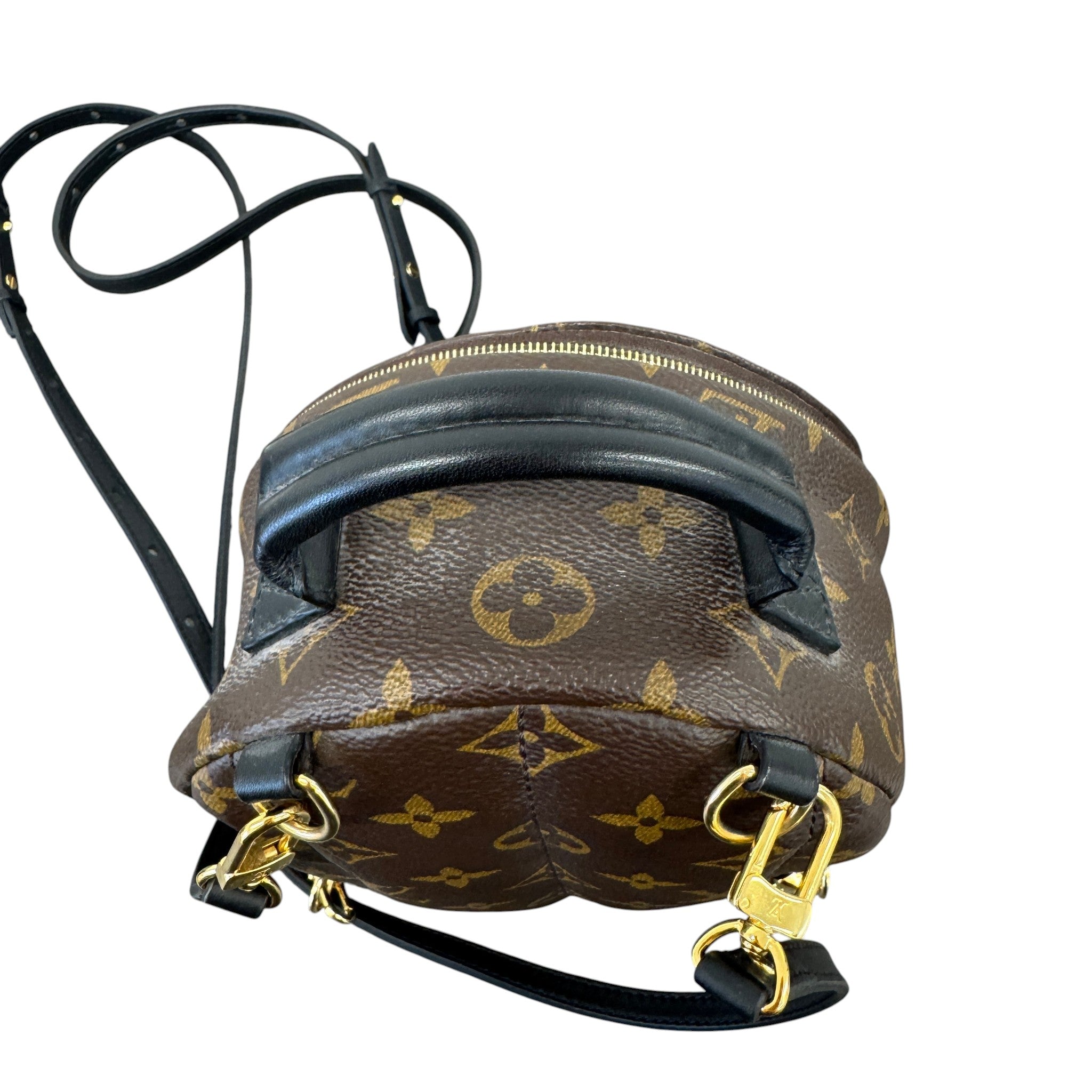 Women's Monogram Palm Springs Mini Backpack Brown