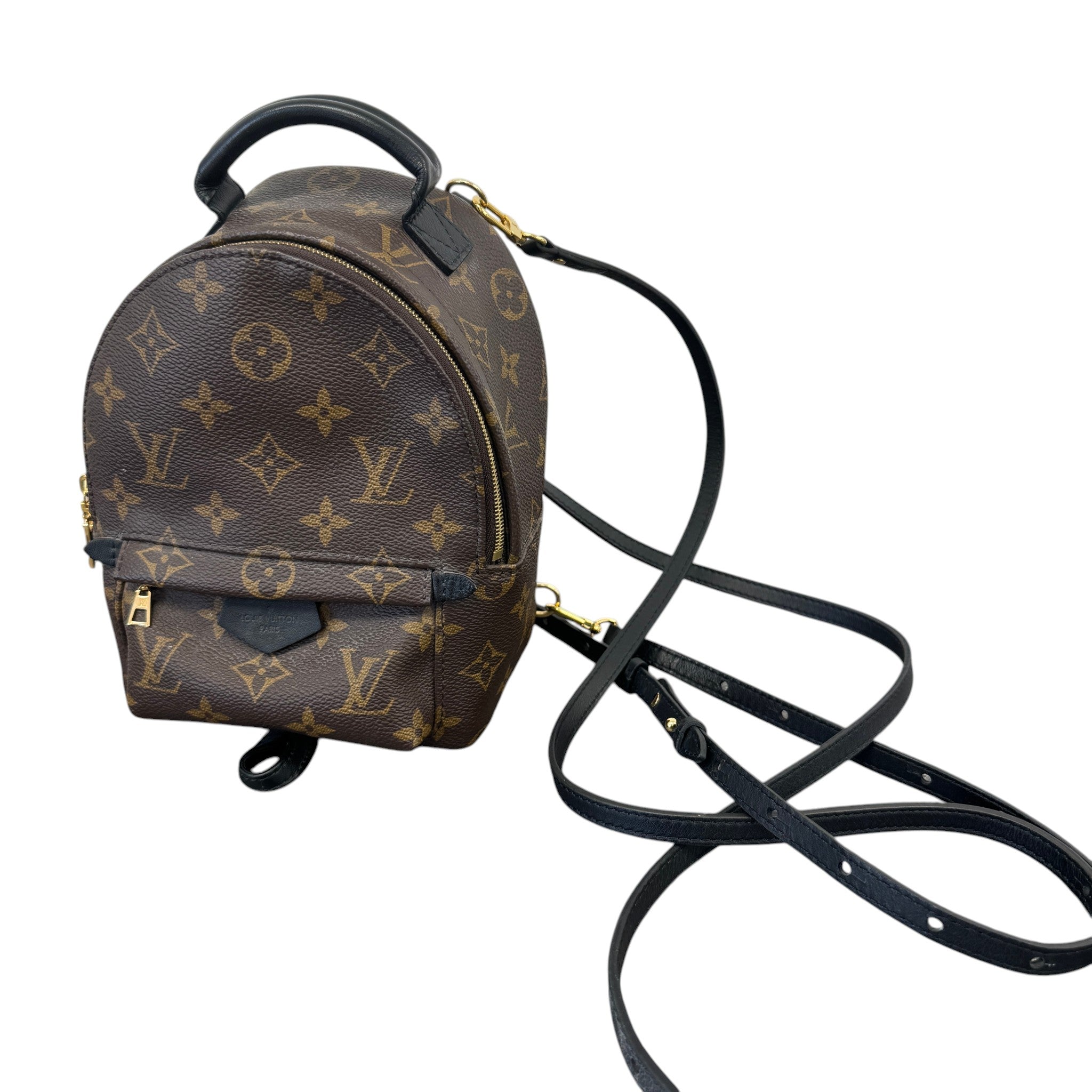 Women's Monogram Palm Springs Mini Backpack Brown