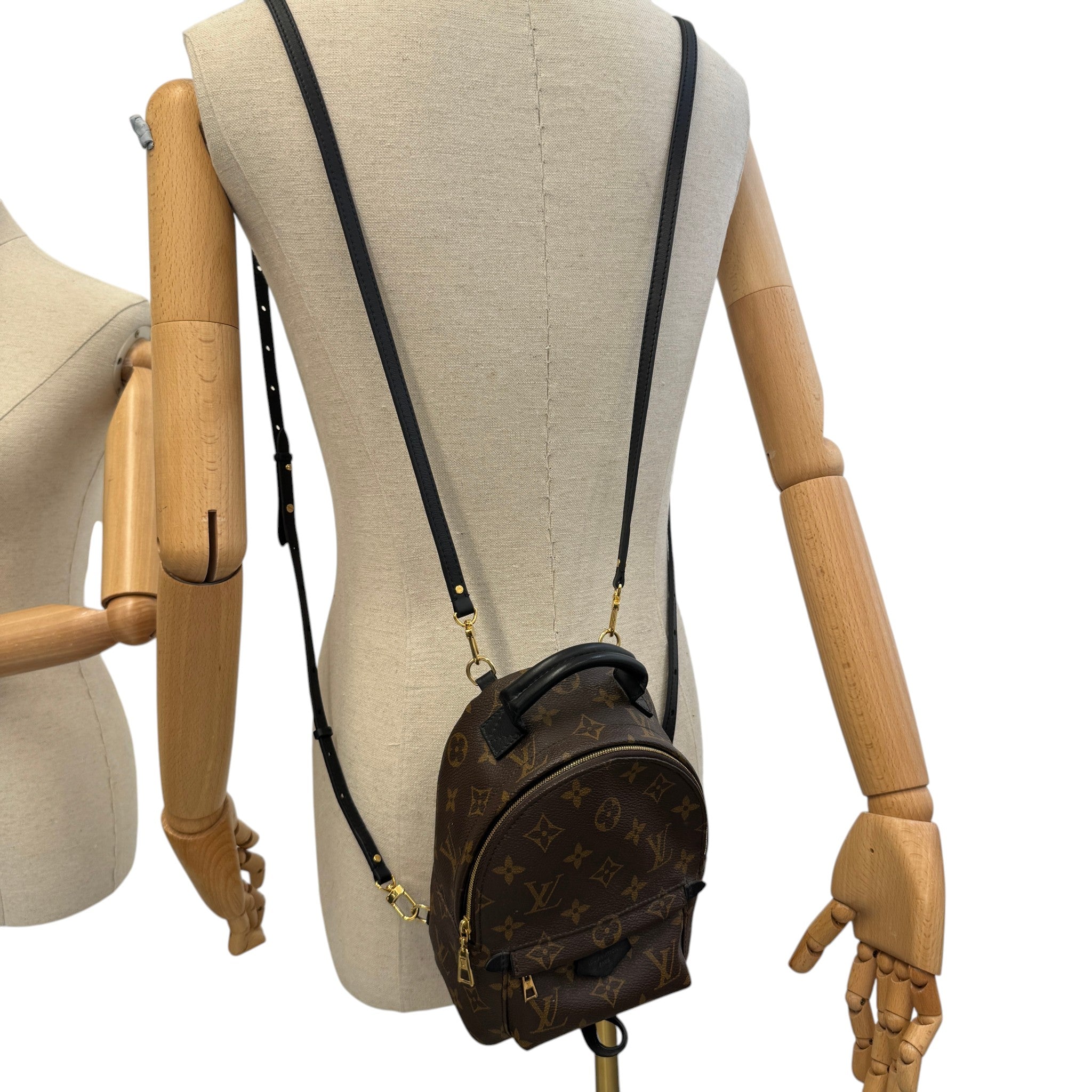 Women's Monogram Palm Springs Mini Backpack Brown