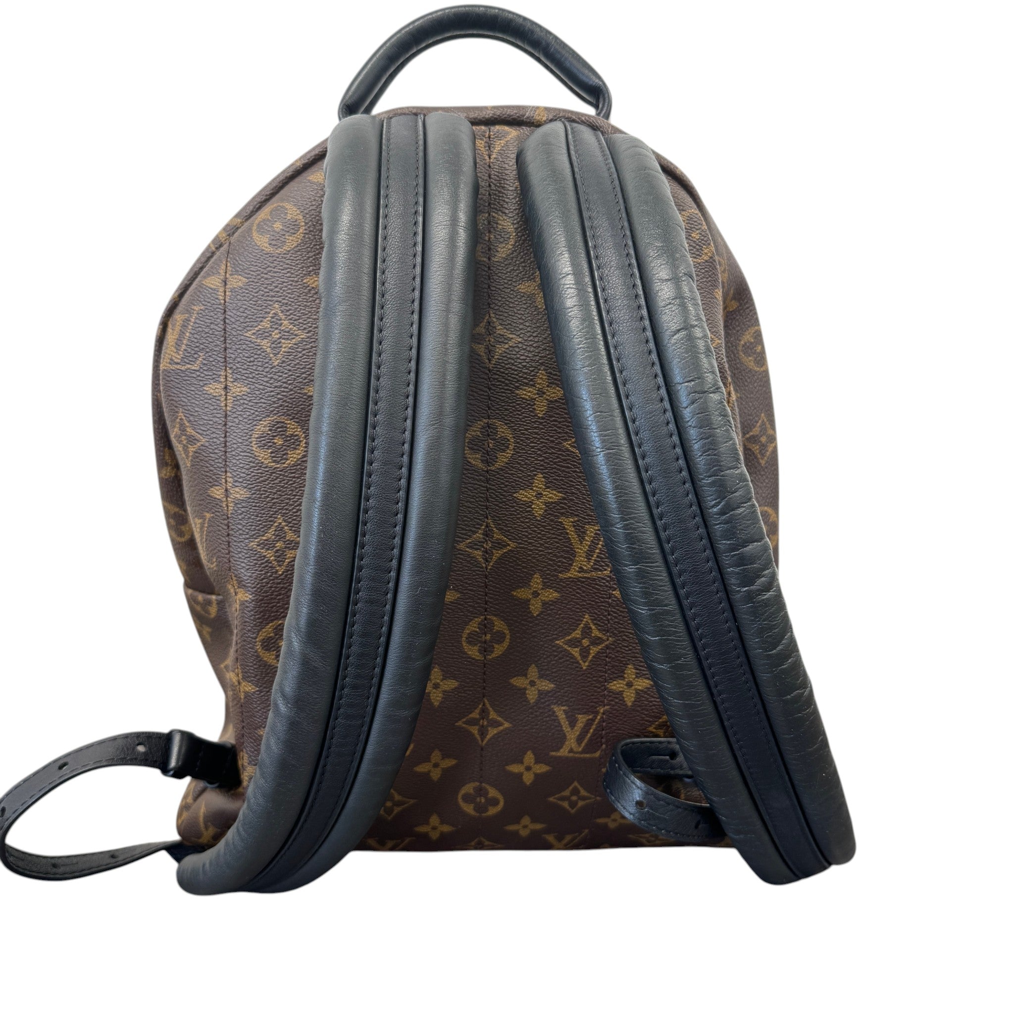 Women's Monogram Palm Springs Mm Backpack Brown