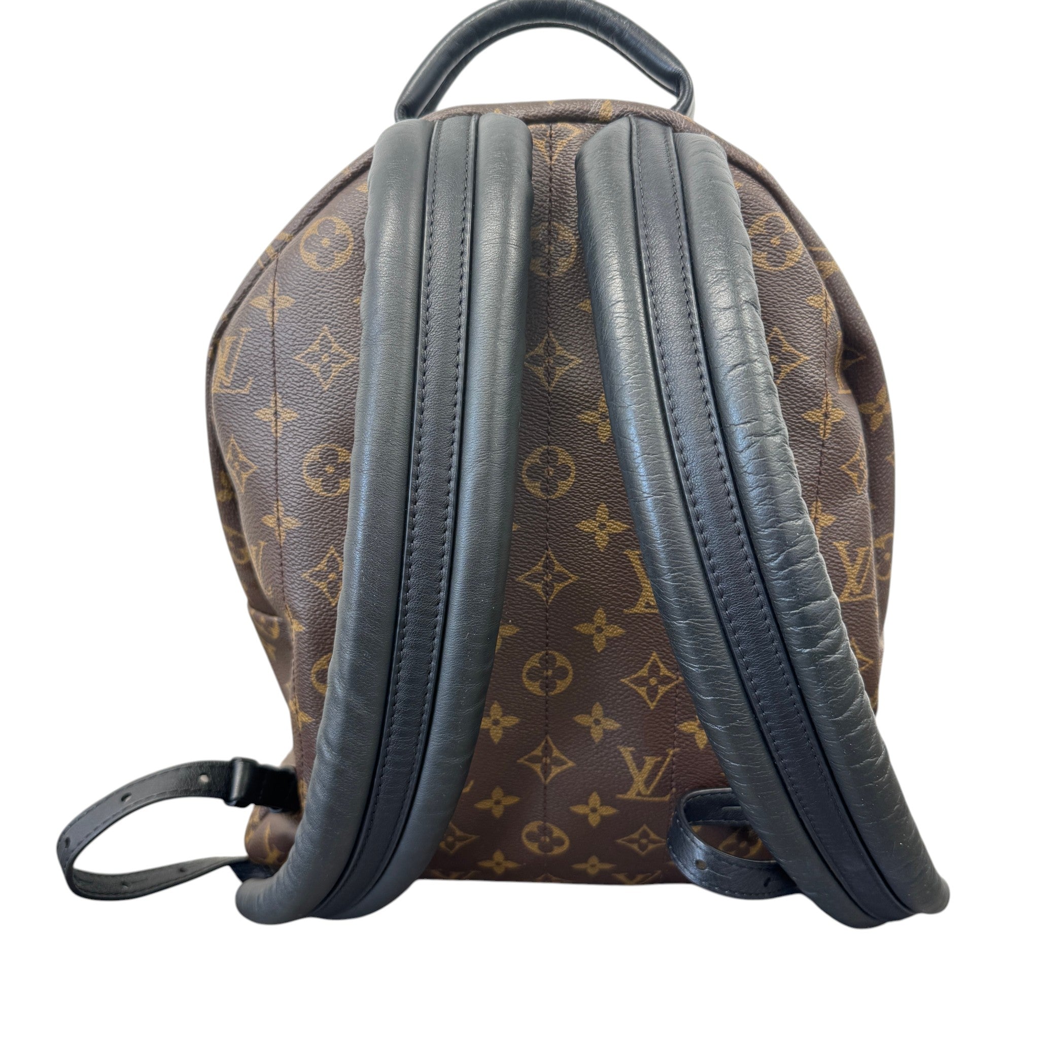 Women's Monogram Palm Springs Mm Backpack Brown
