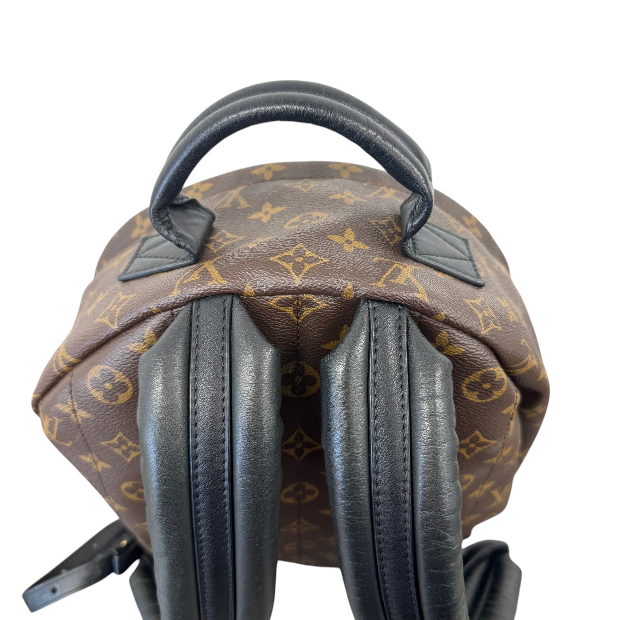 Women's Monogram Palm Springs Mm Backpack Brown